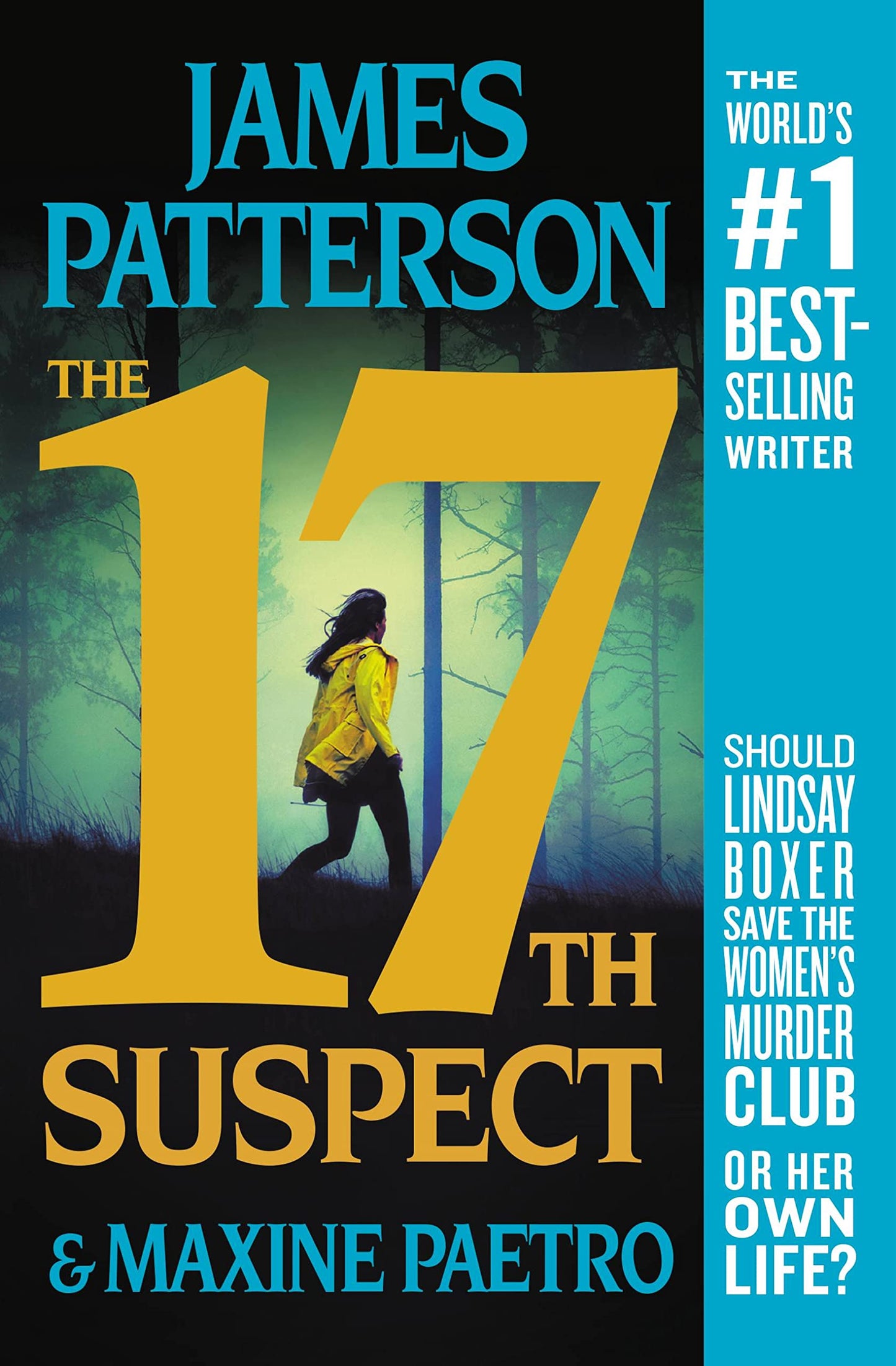 The 17th Suspect book cover