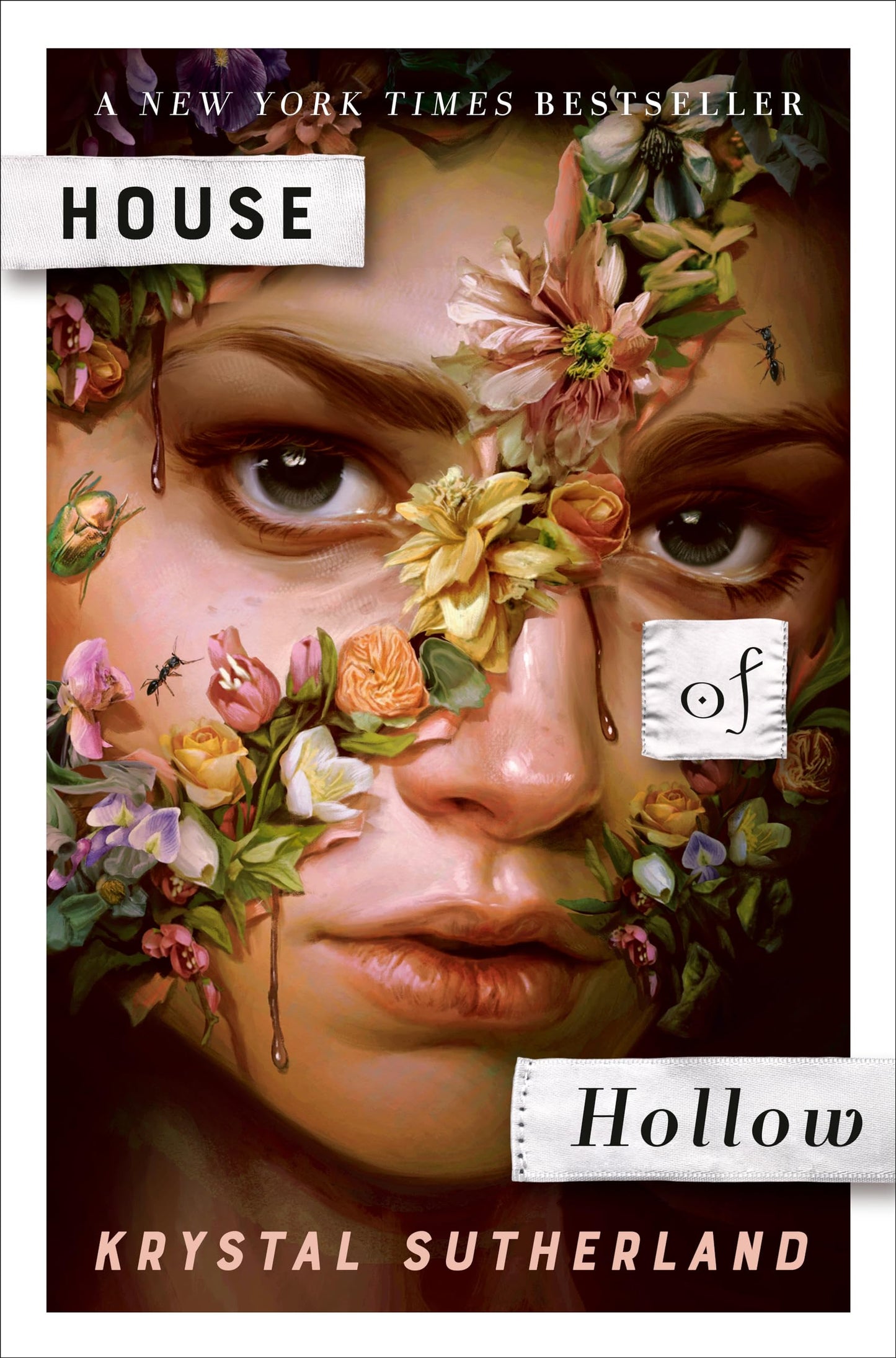 House of Hollow book cover
