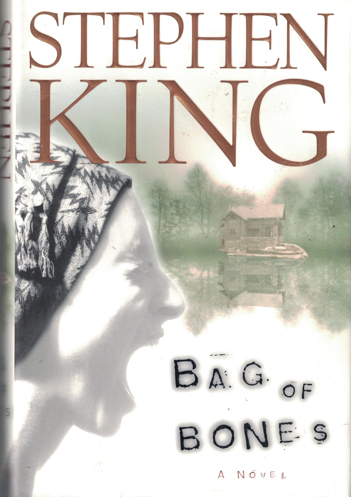 Bag of Bones book cover