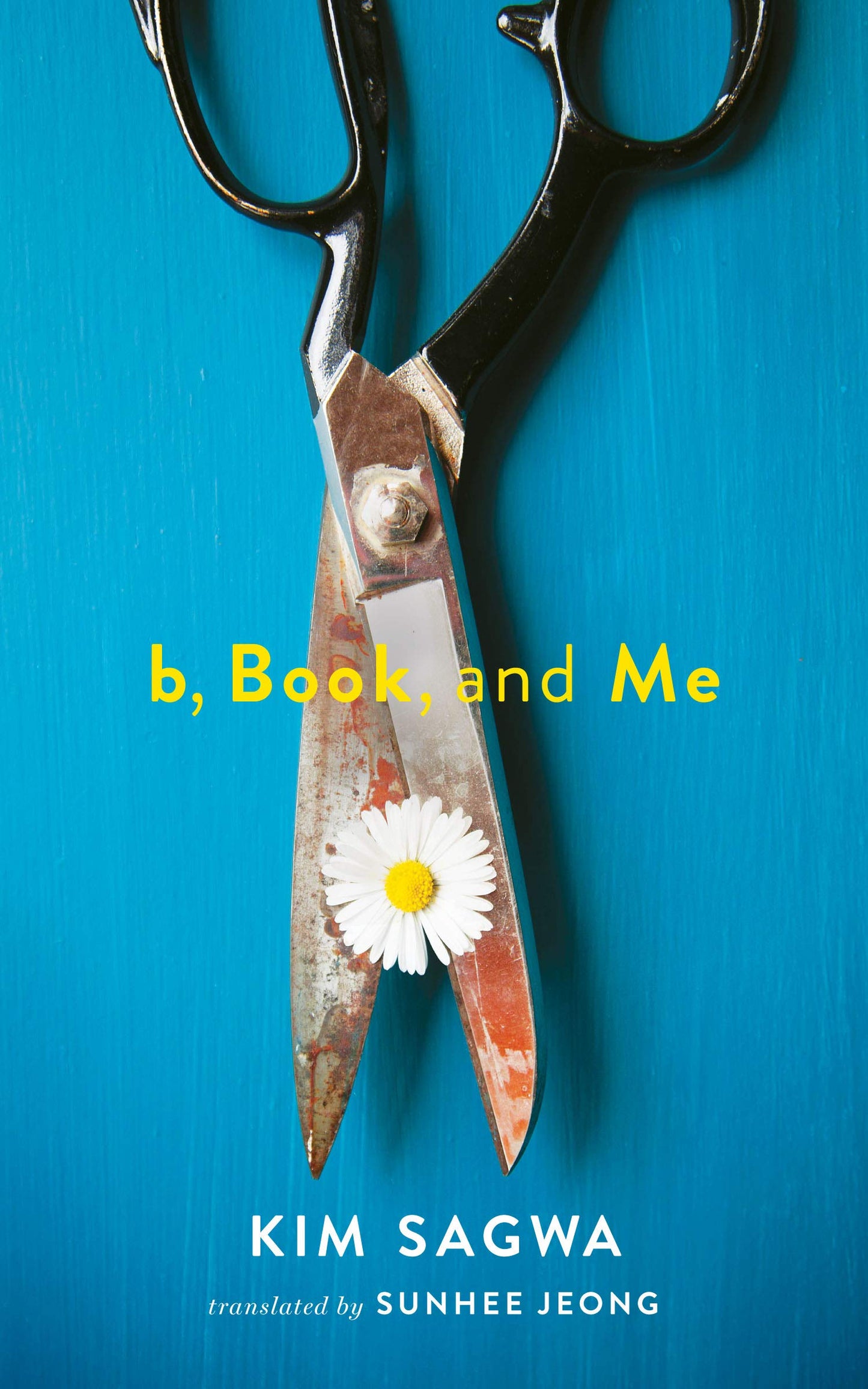 B, Book, and Me book cover