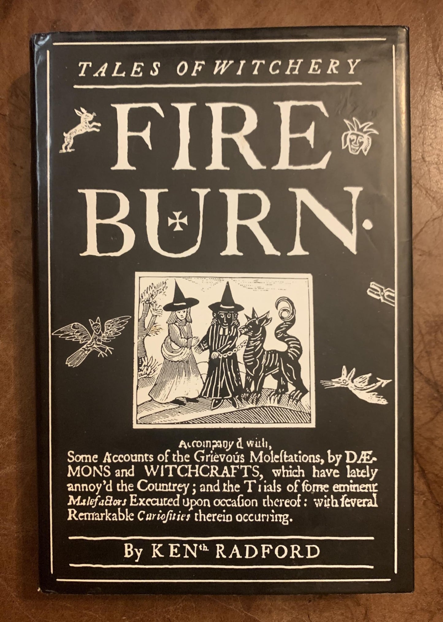 Fire Burn book cover