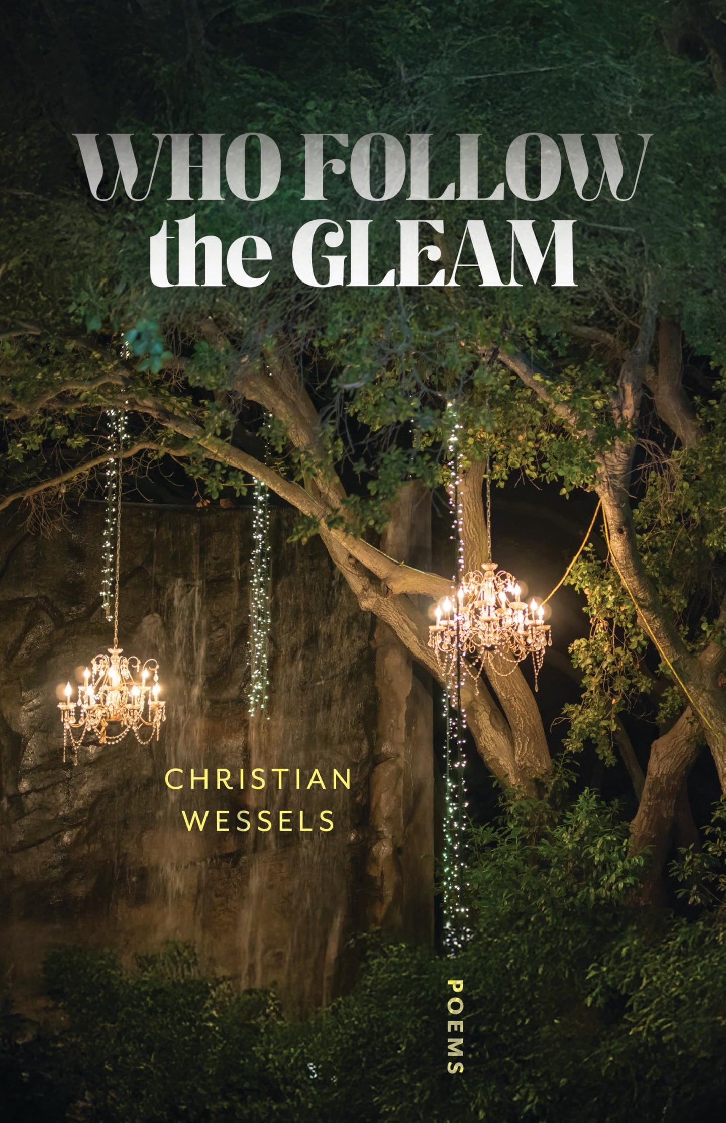 Who Follow the Gleam book cover