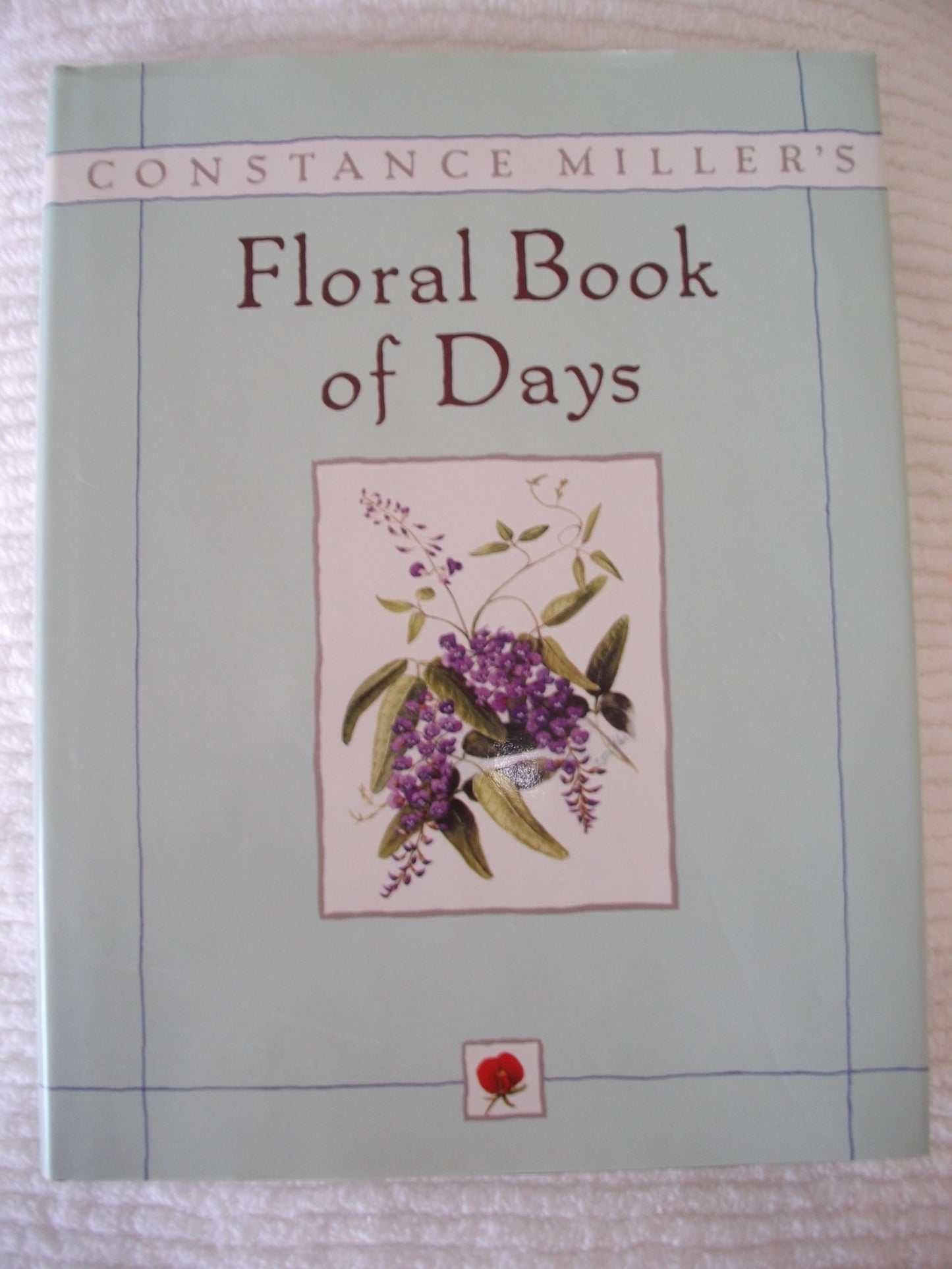 Constance Miller's (In the USA) book cover