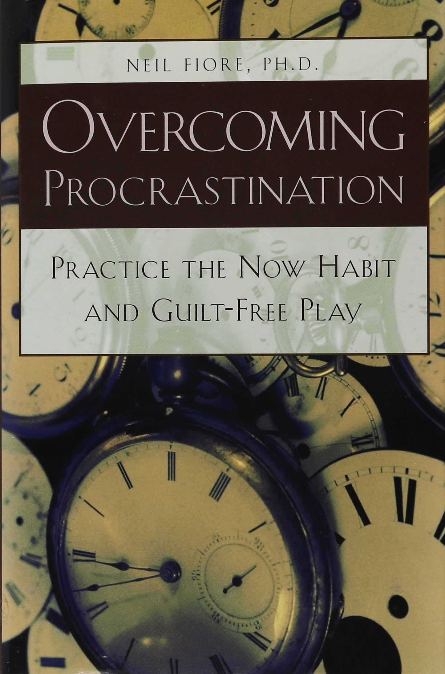 Overcoming Procrastination: Practice the Now Habit and Guilt-Free Play book cover
