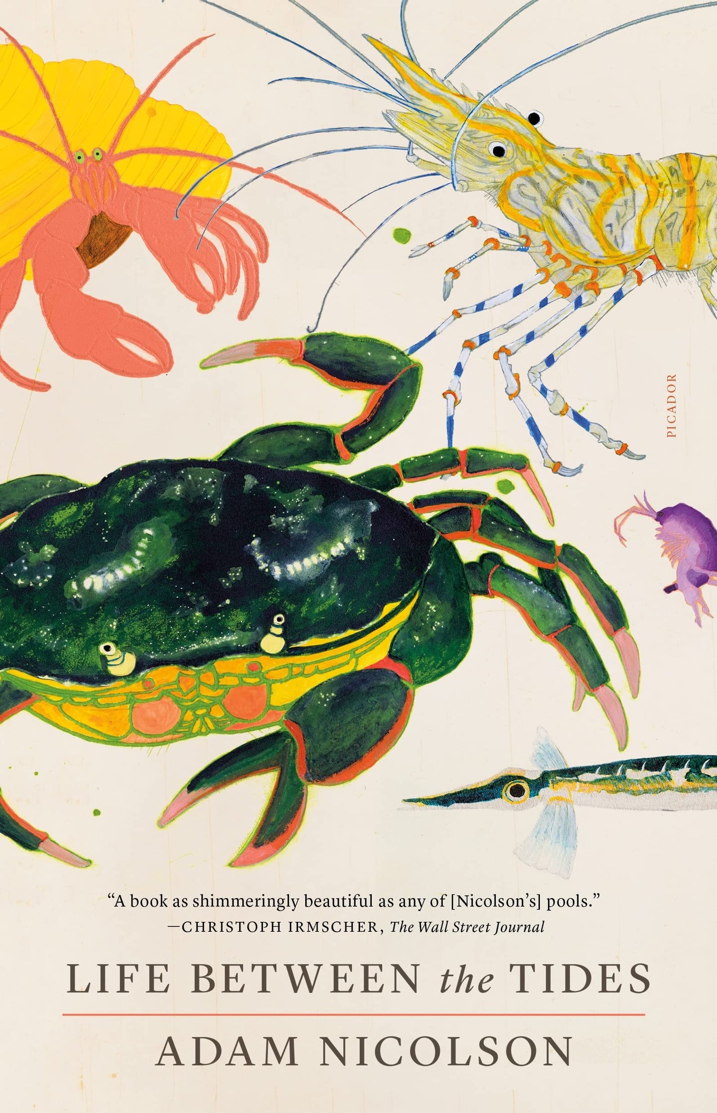 Life Between the Tides book cover