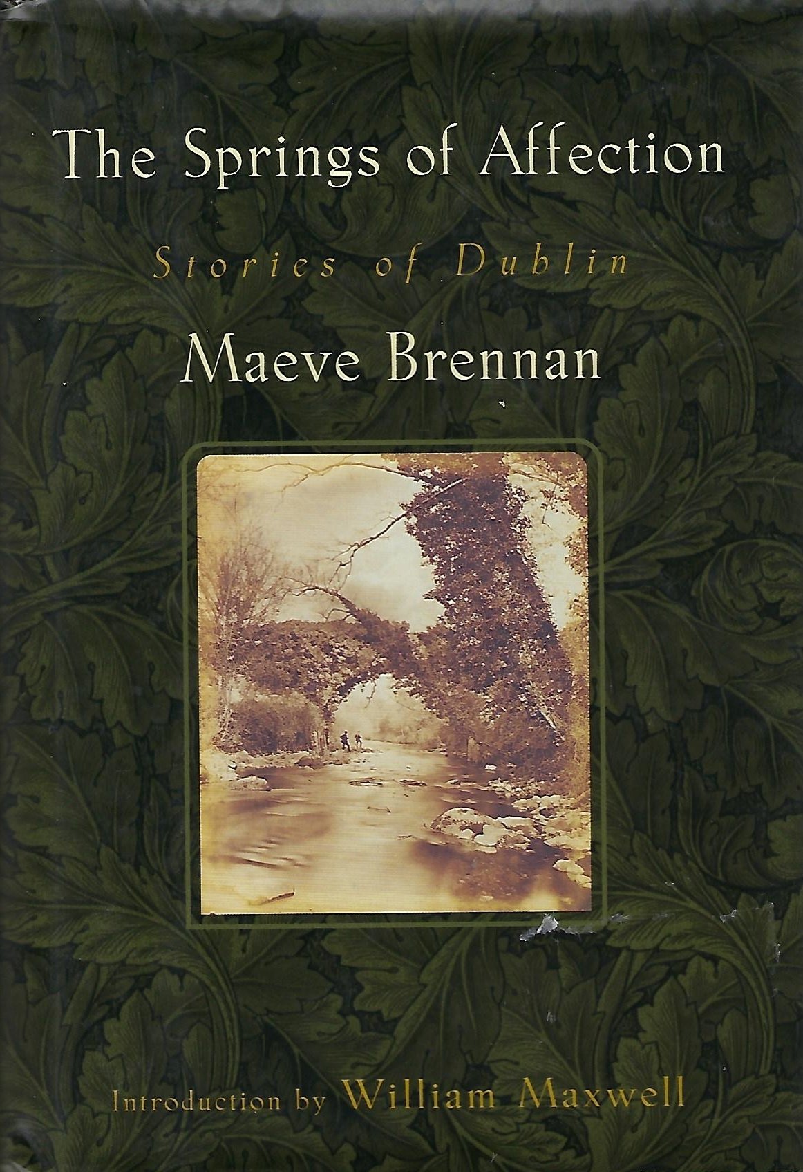 Springs of Affection: Stories of Dublin book cover
