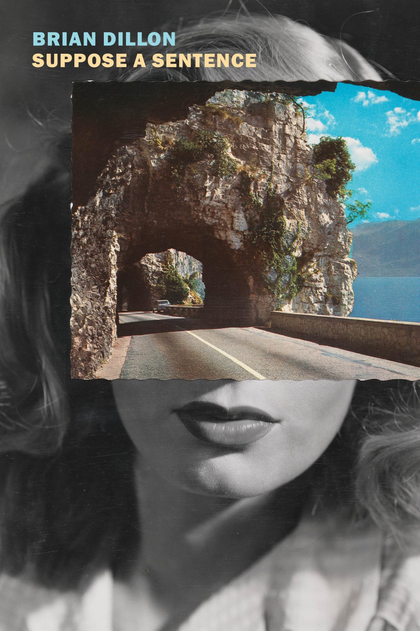 Suppose a Sentence book cover