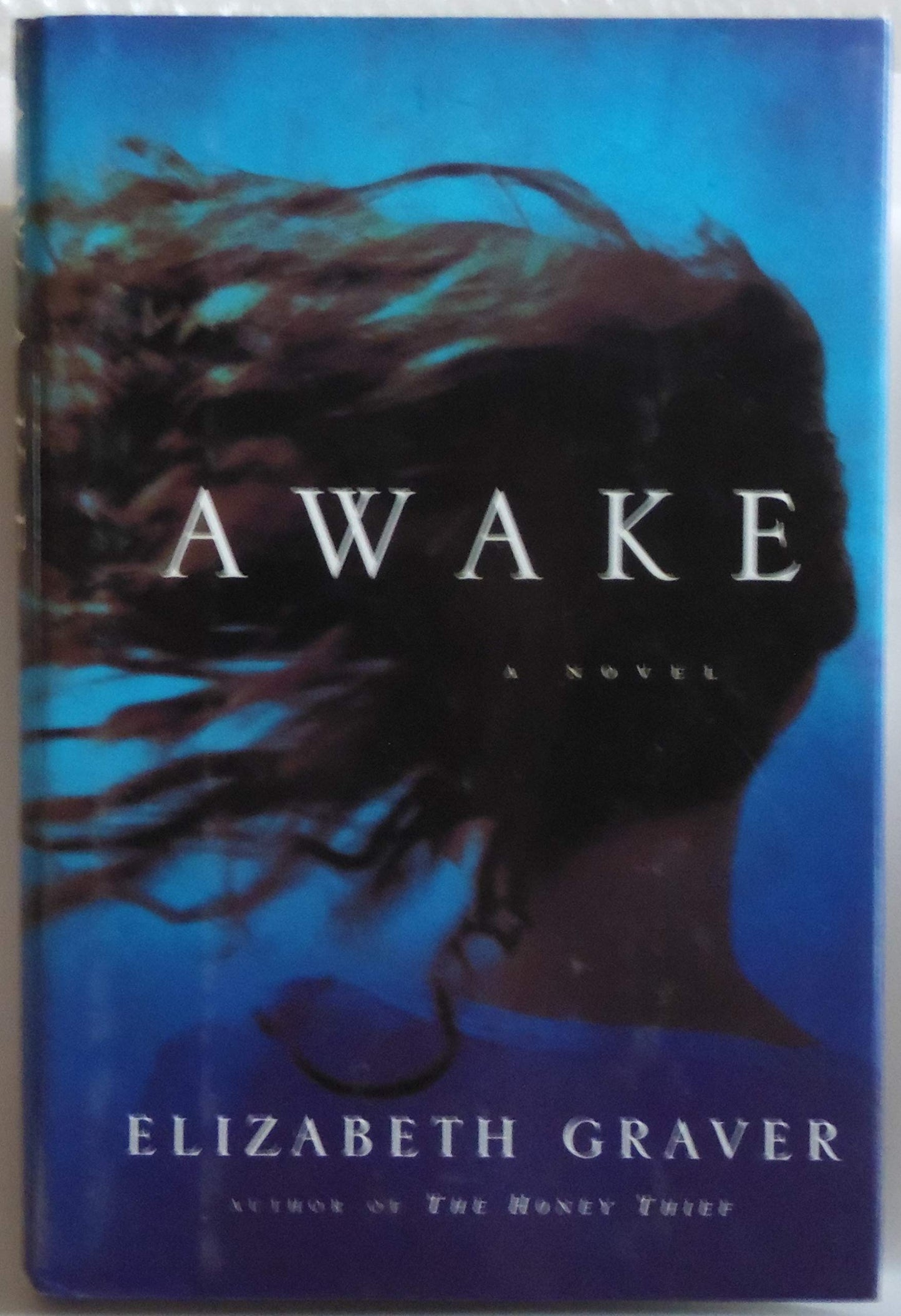 Awake book cover