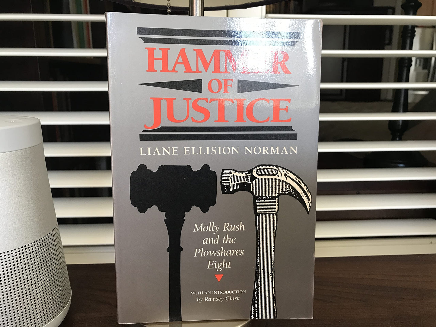 Hammer of Justice: Molly Rush and the Plowshares Eight book cover