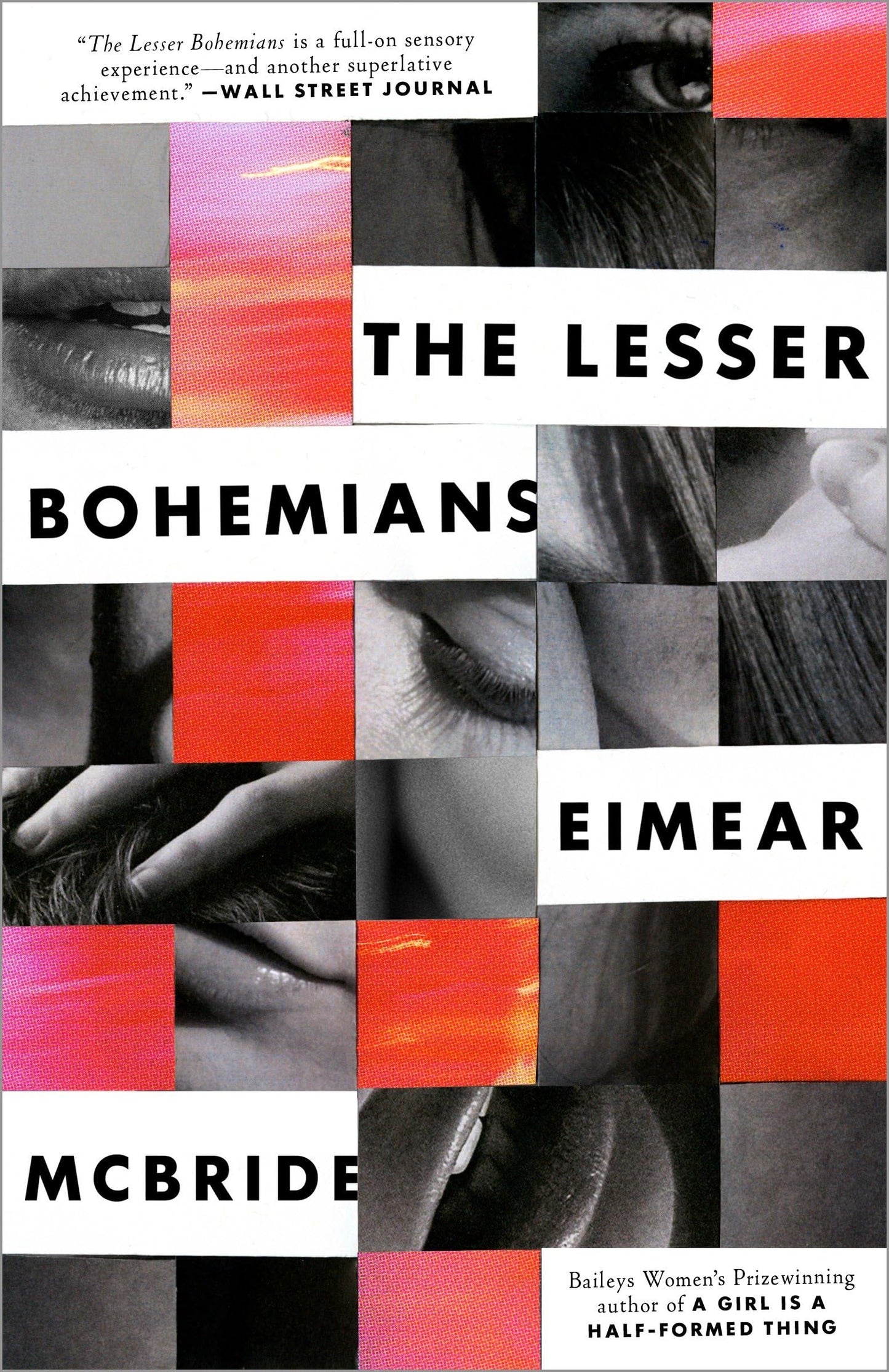 The Lesser Bohemians book cover