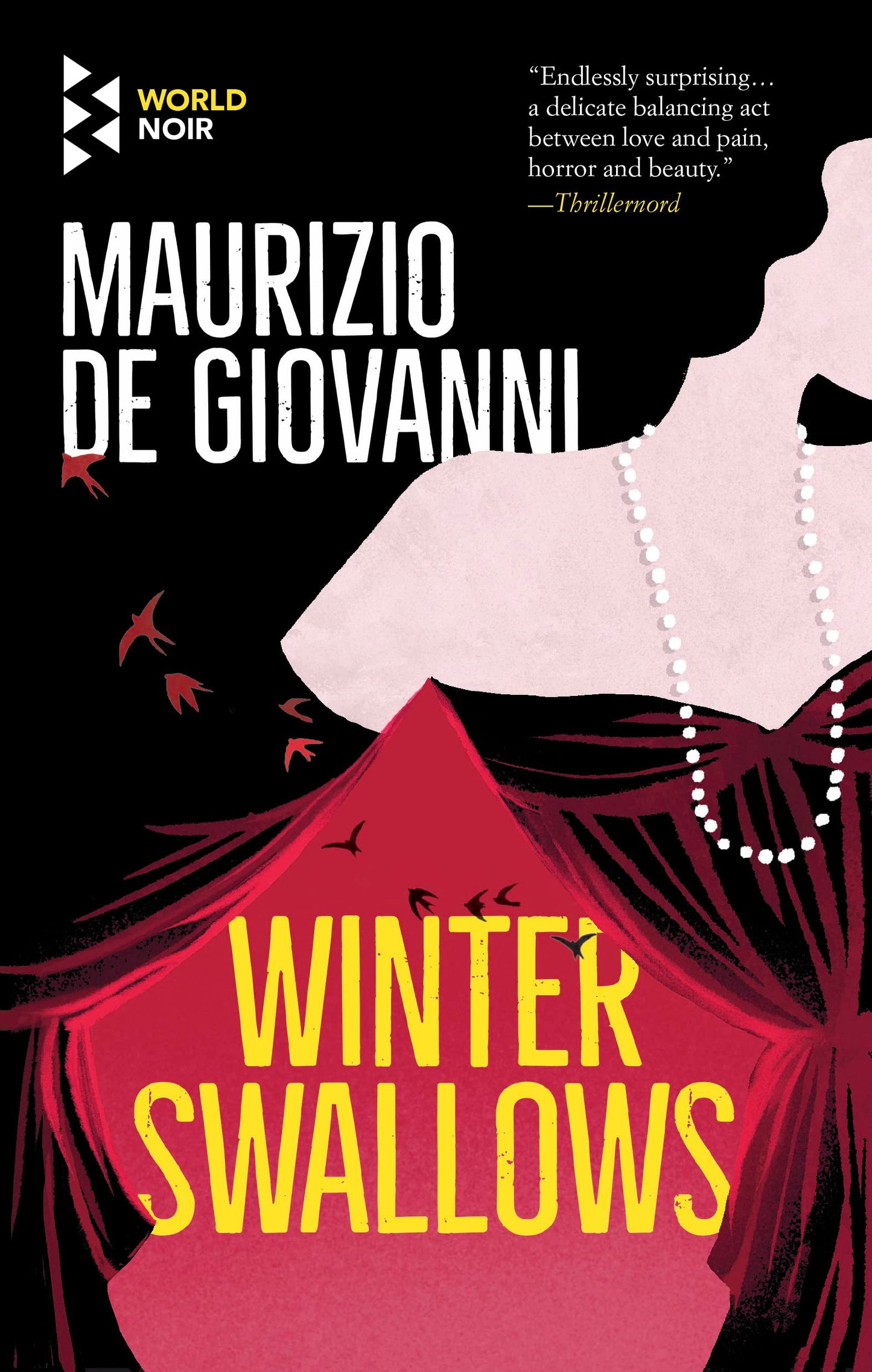 Winter Swallows book cover