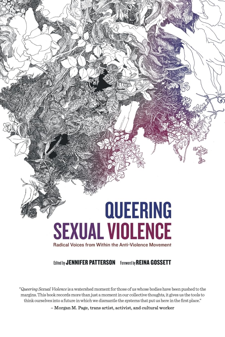 Queering Sexual Violence - Radical Voices from Within the Anti-Violence Movement book cover