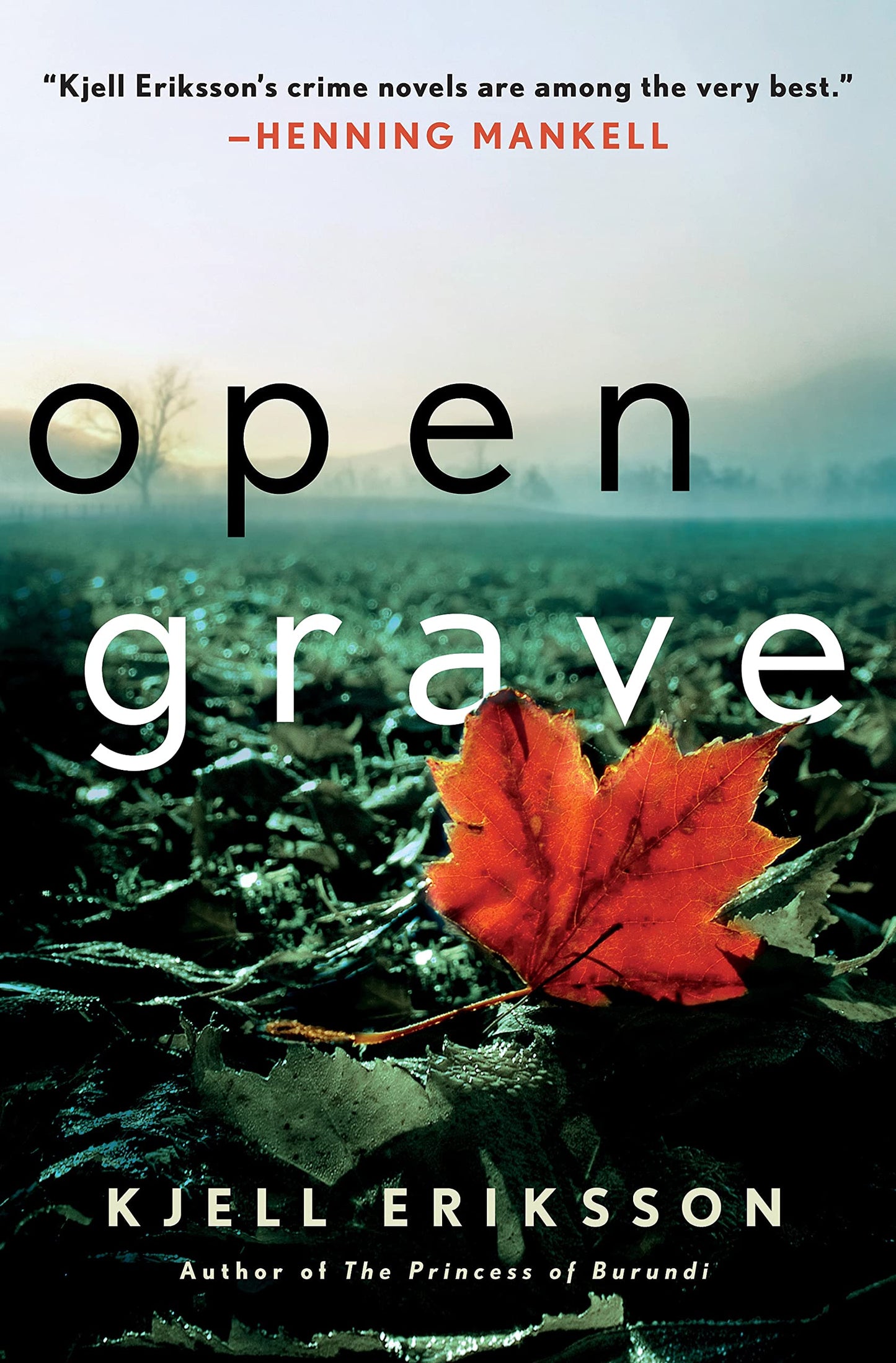 Open Grave: A Mystery book cover