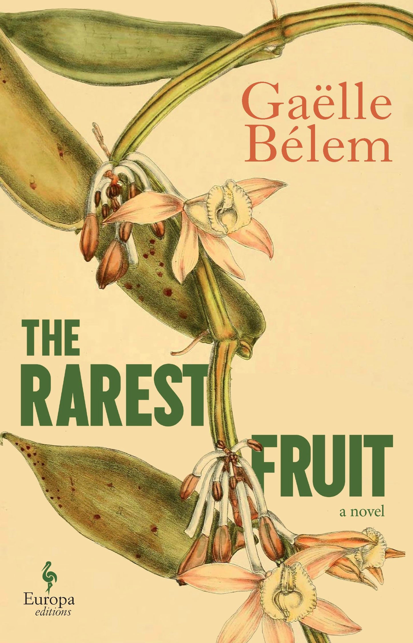 The Rarest Fruit book cover