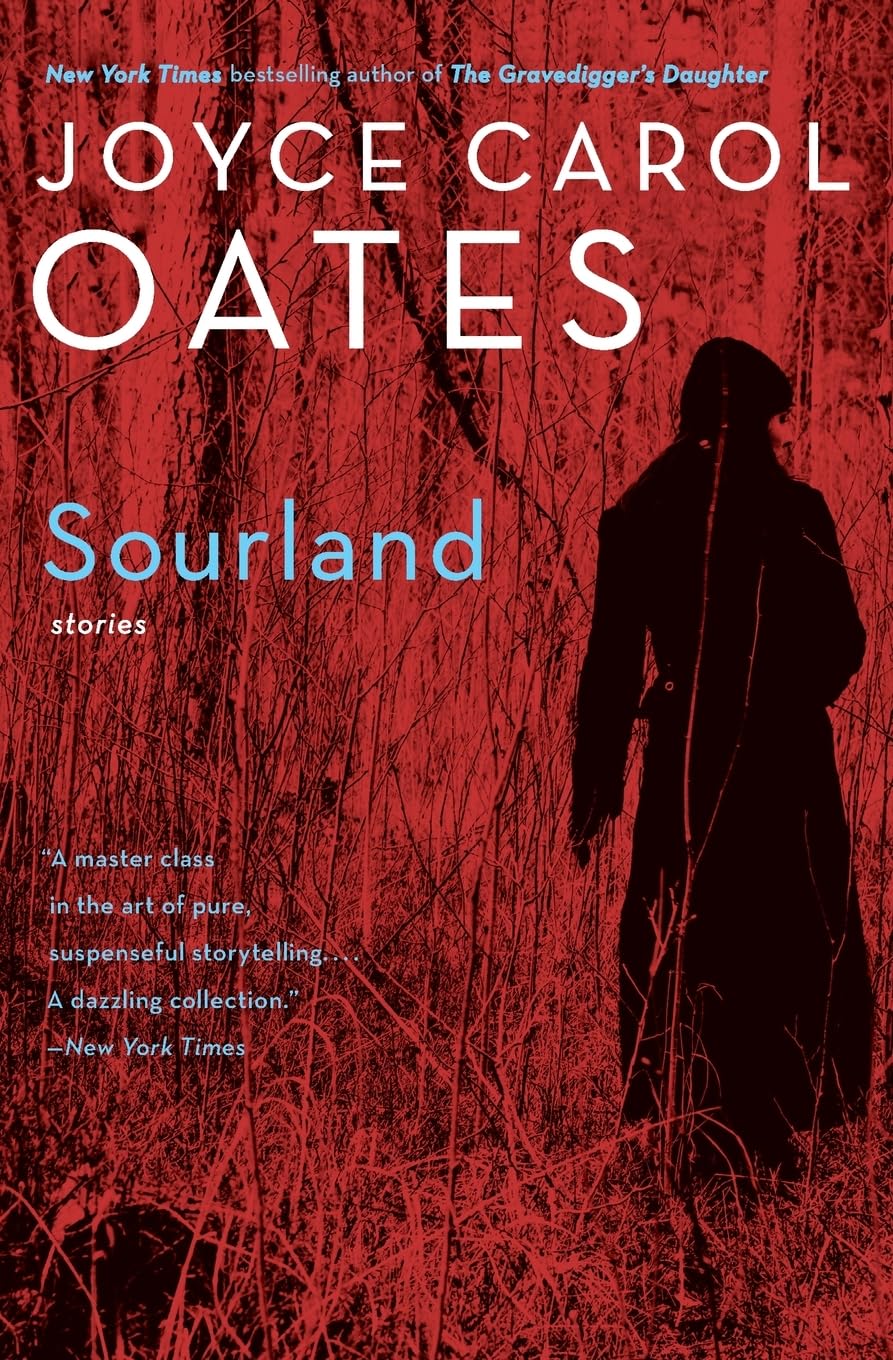 Sourland book cover