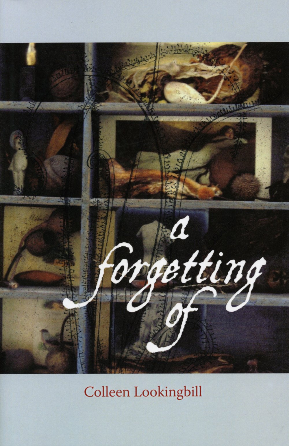 a forgetting of book cover