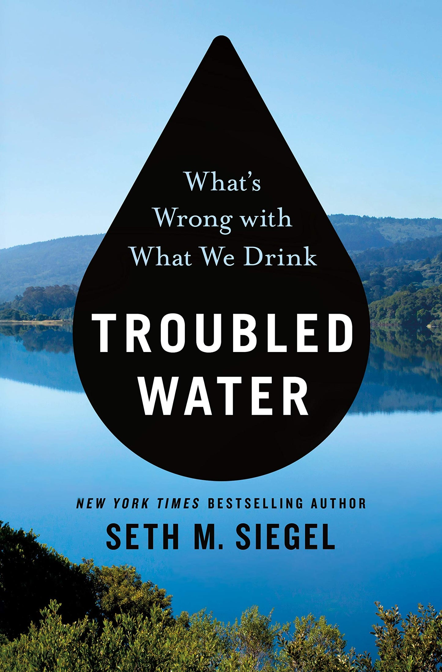 Troubled Water: What's Wrong with What We Drink book cover