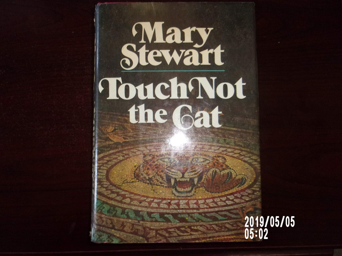Touch Not the Cat book cover