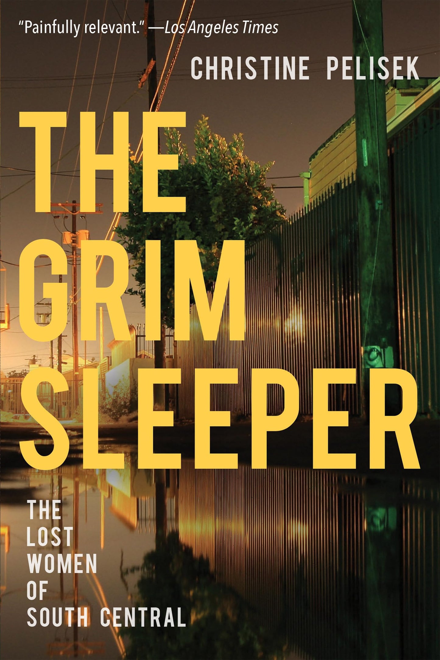 Grim Sleeper: The Lost Women of South Central book cover