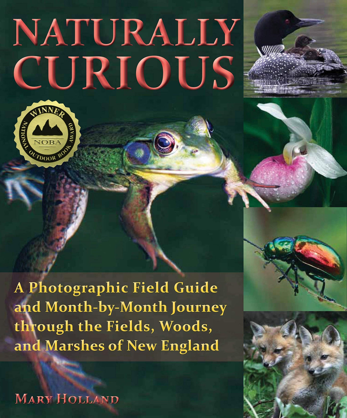 Naturally Curious: A Photographic Field Guide and Month-By-Month Journey Through the Fields, Woods, and Marshes of New England