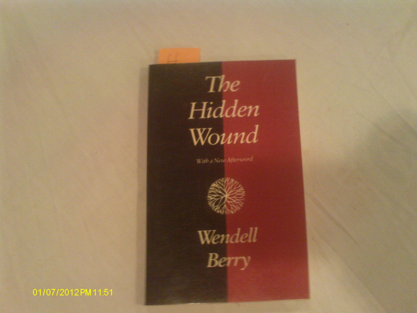 Hidden Wound book cover