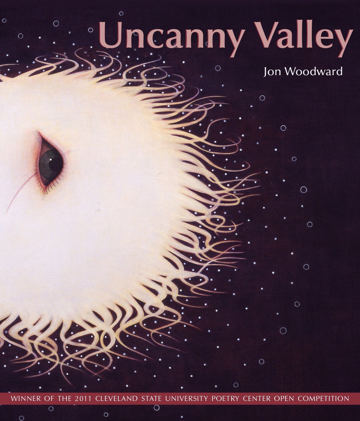 Uncanny Valley book cover