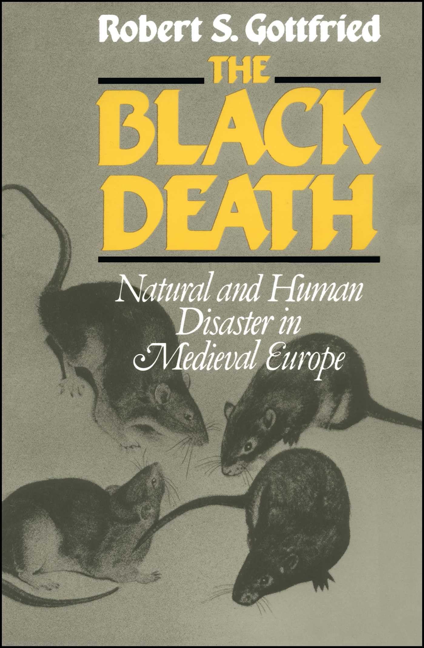 Black Death: Natural and Human Disaster in Medieval Europe book cover