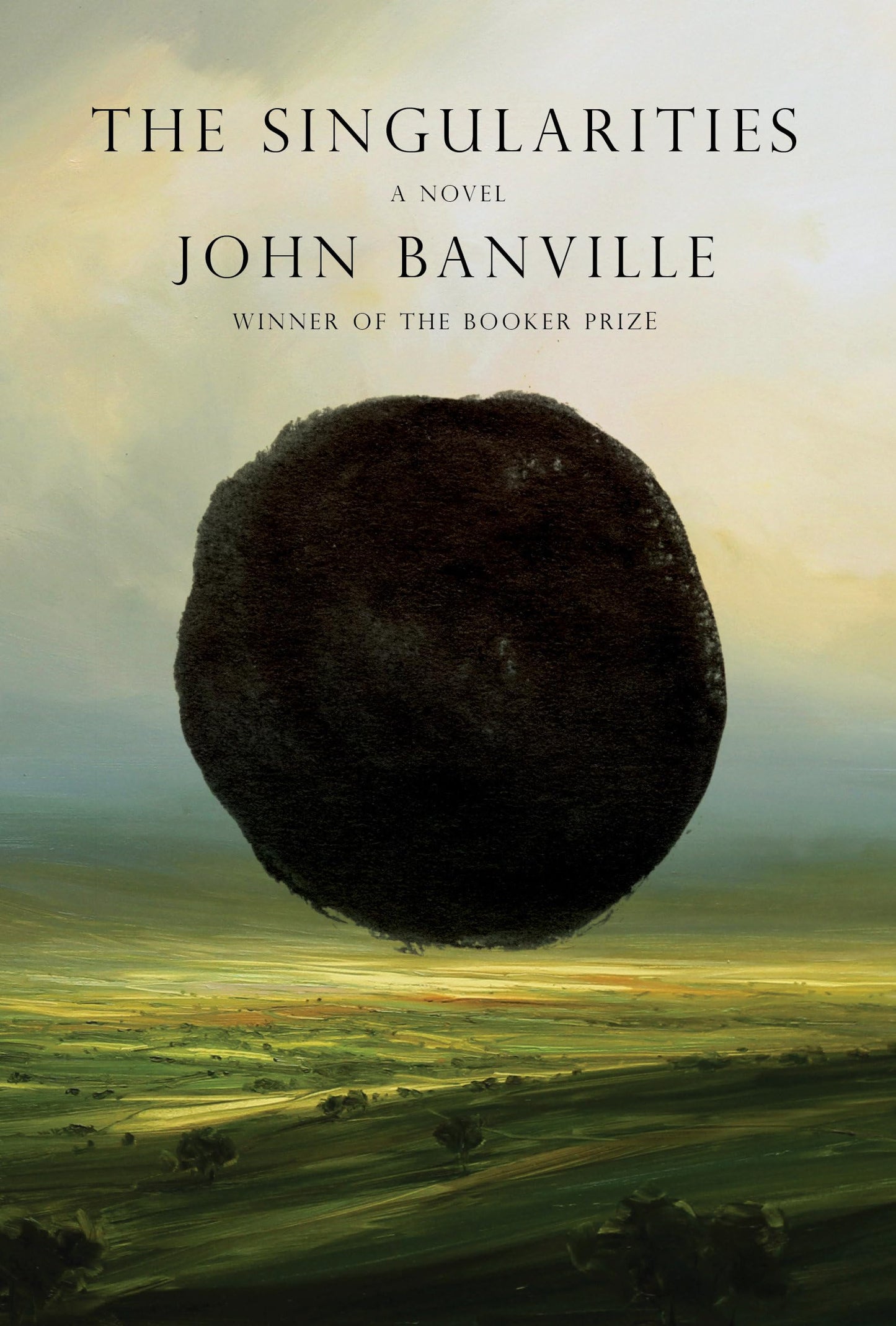 Singularities book cover
