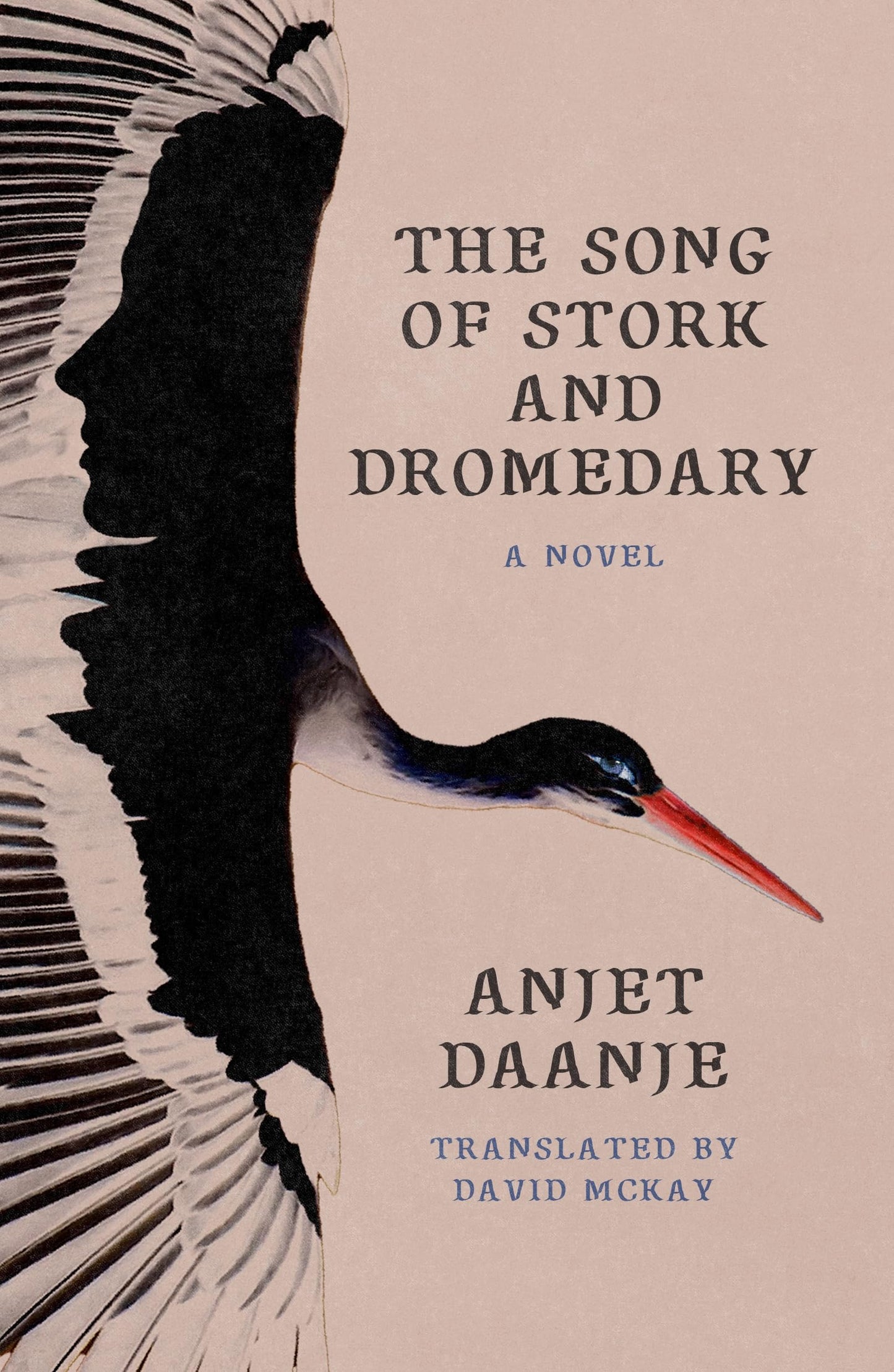 The Song of Stork and Dromedary book cover
