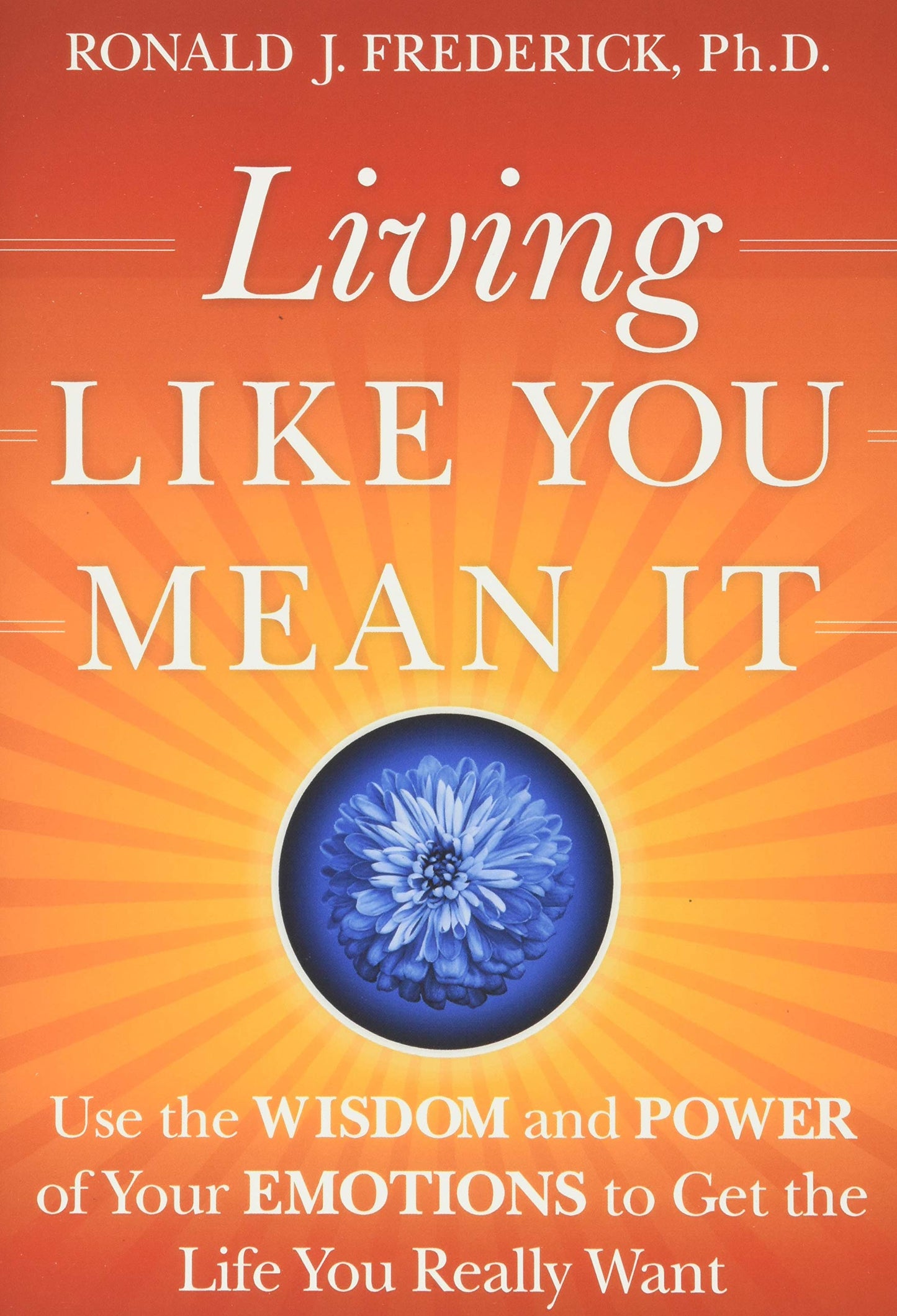 Living Like You Mean It: Use the Wisdom and Power of Your Emotions to Get the Life You Really Want book cover