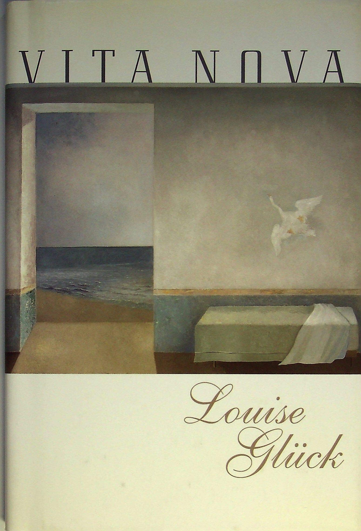 Vita Nova book cover