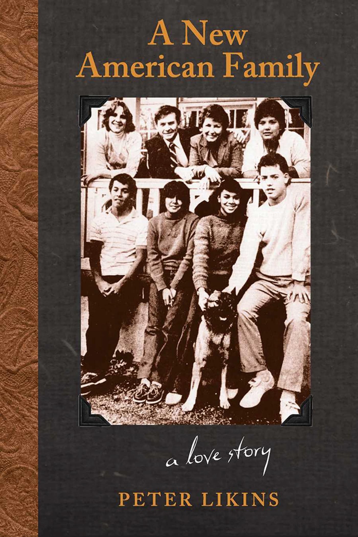 New American Family: A Love Story book cover