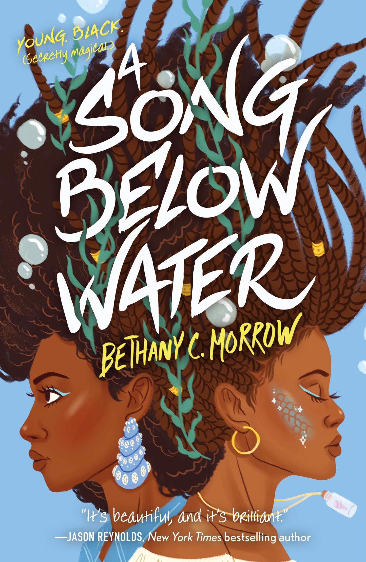 Song Below Water book cover