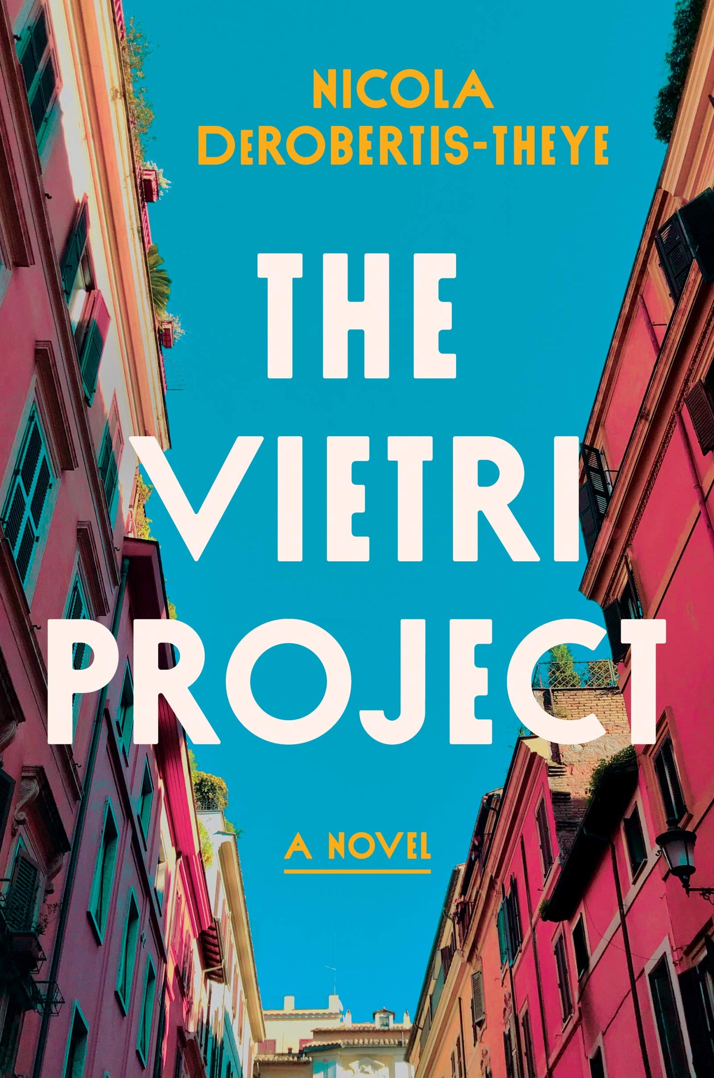Vietri Project book cover