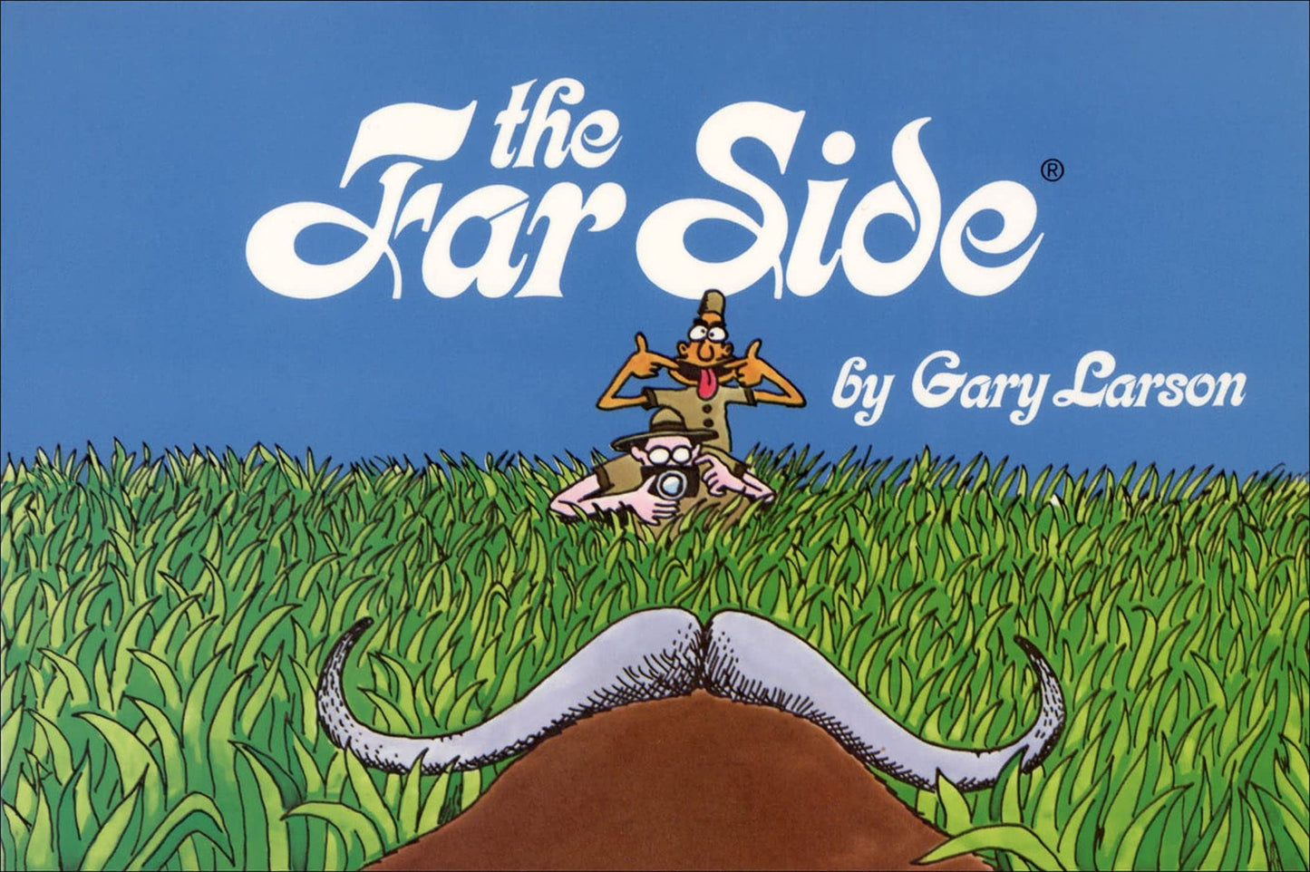 Far Side book cover