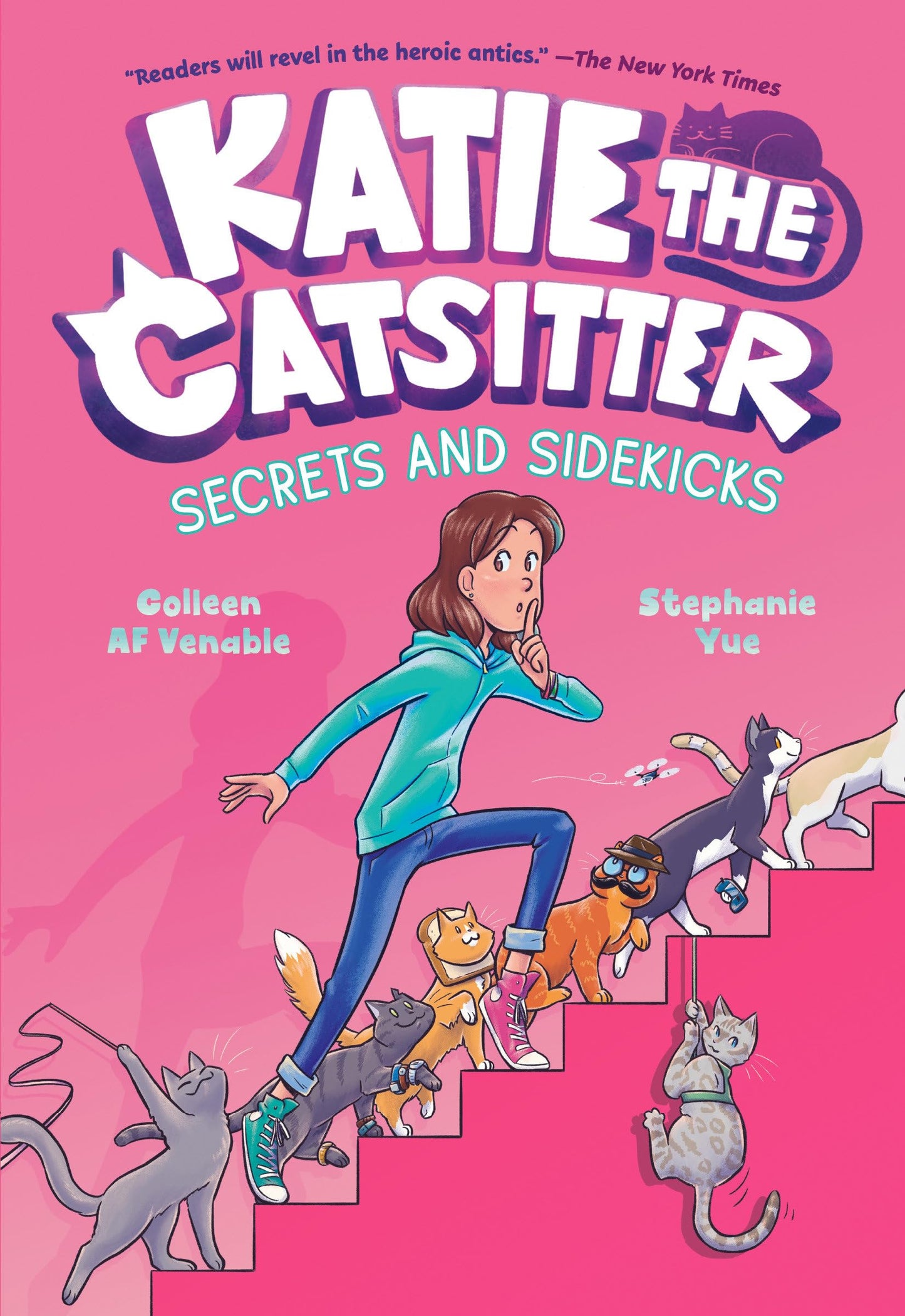 Secrets and Sidekicks book cover