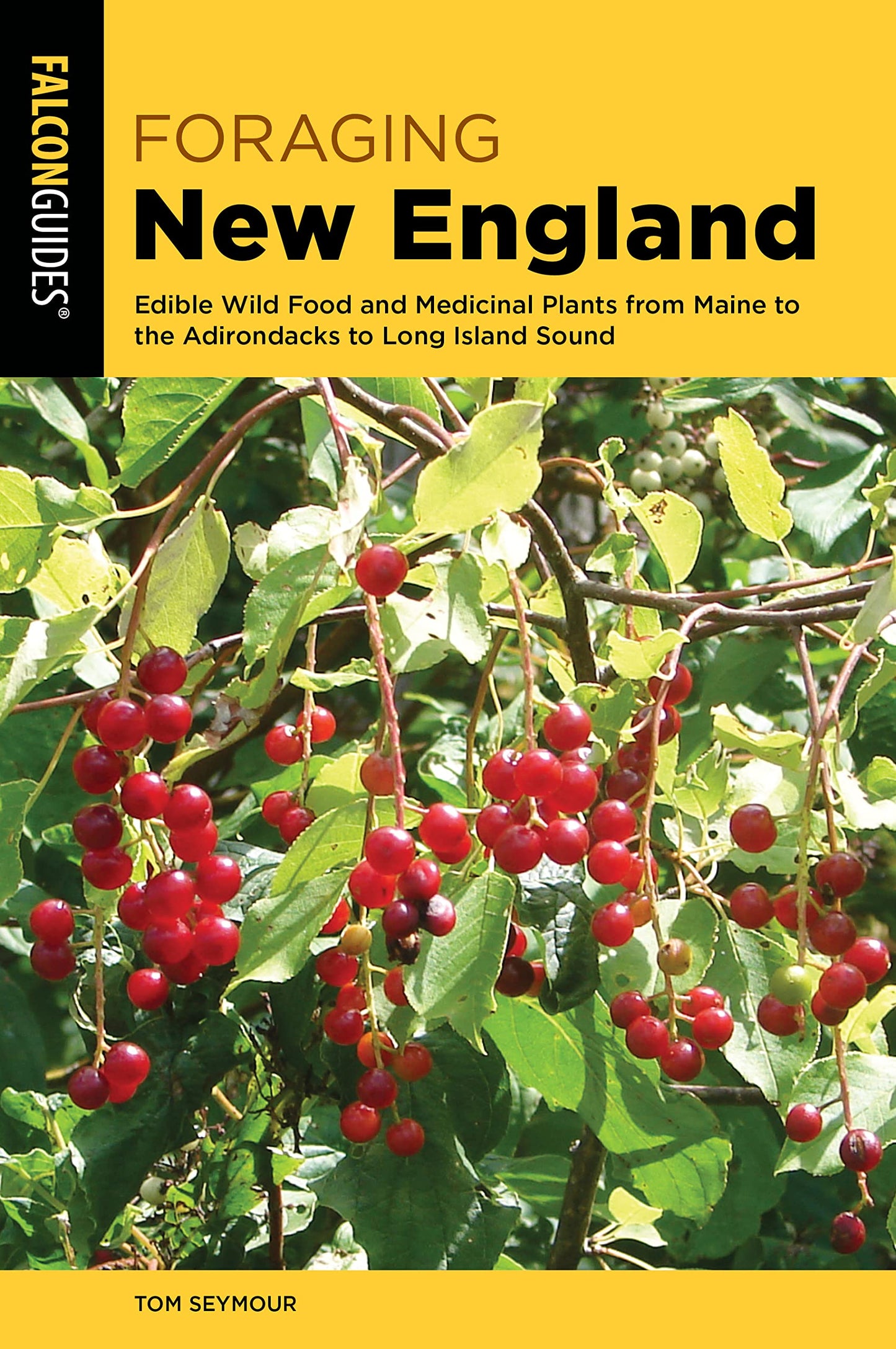 Foraging New England: Edible Wild Food and Medicinal Plants from Maine to the Adirondacks to Long Island Sound book cover