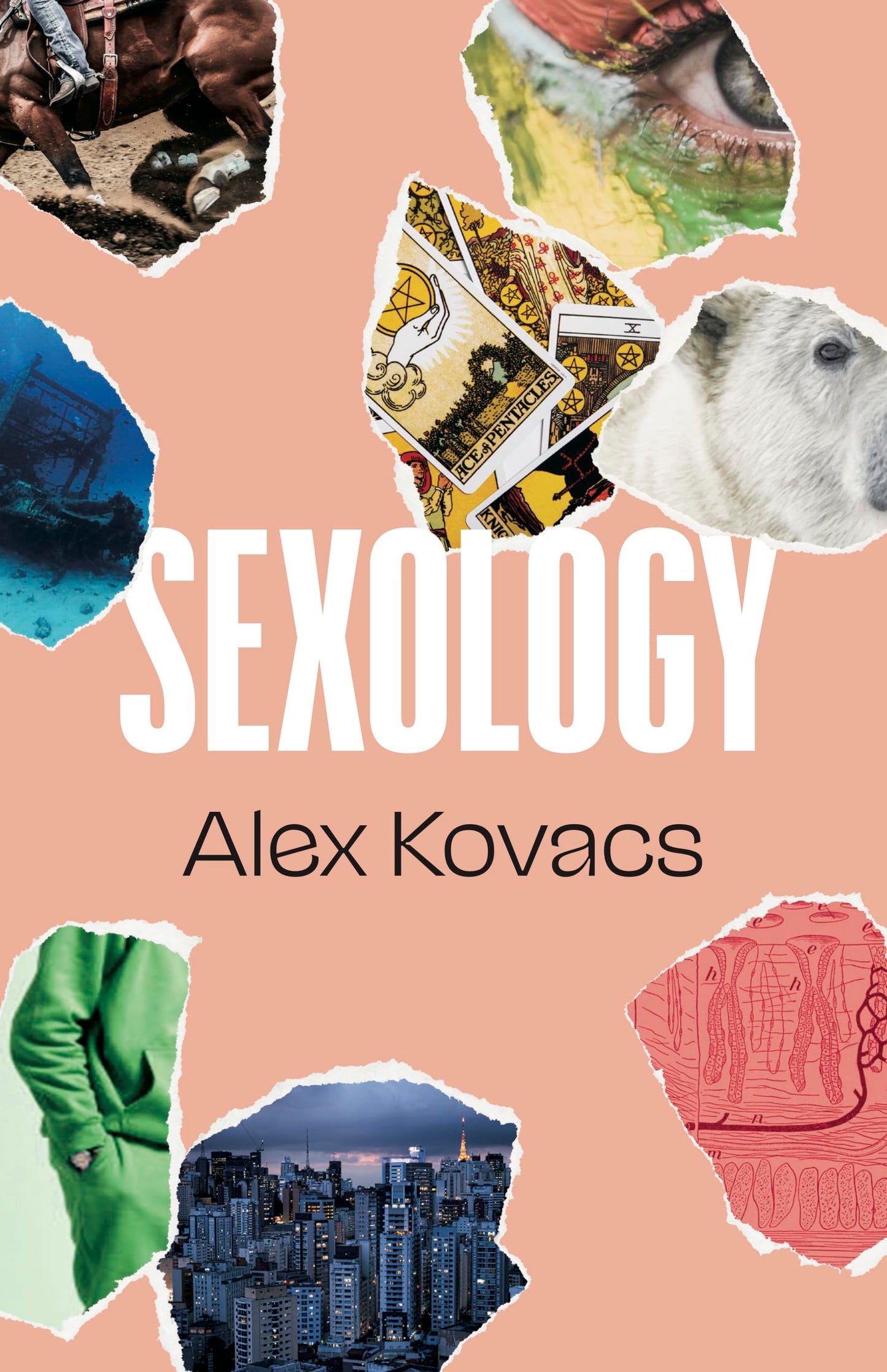 Sexology book cover