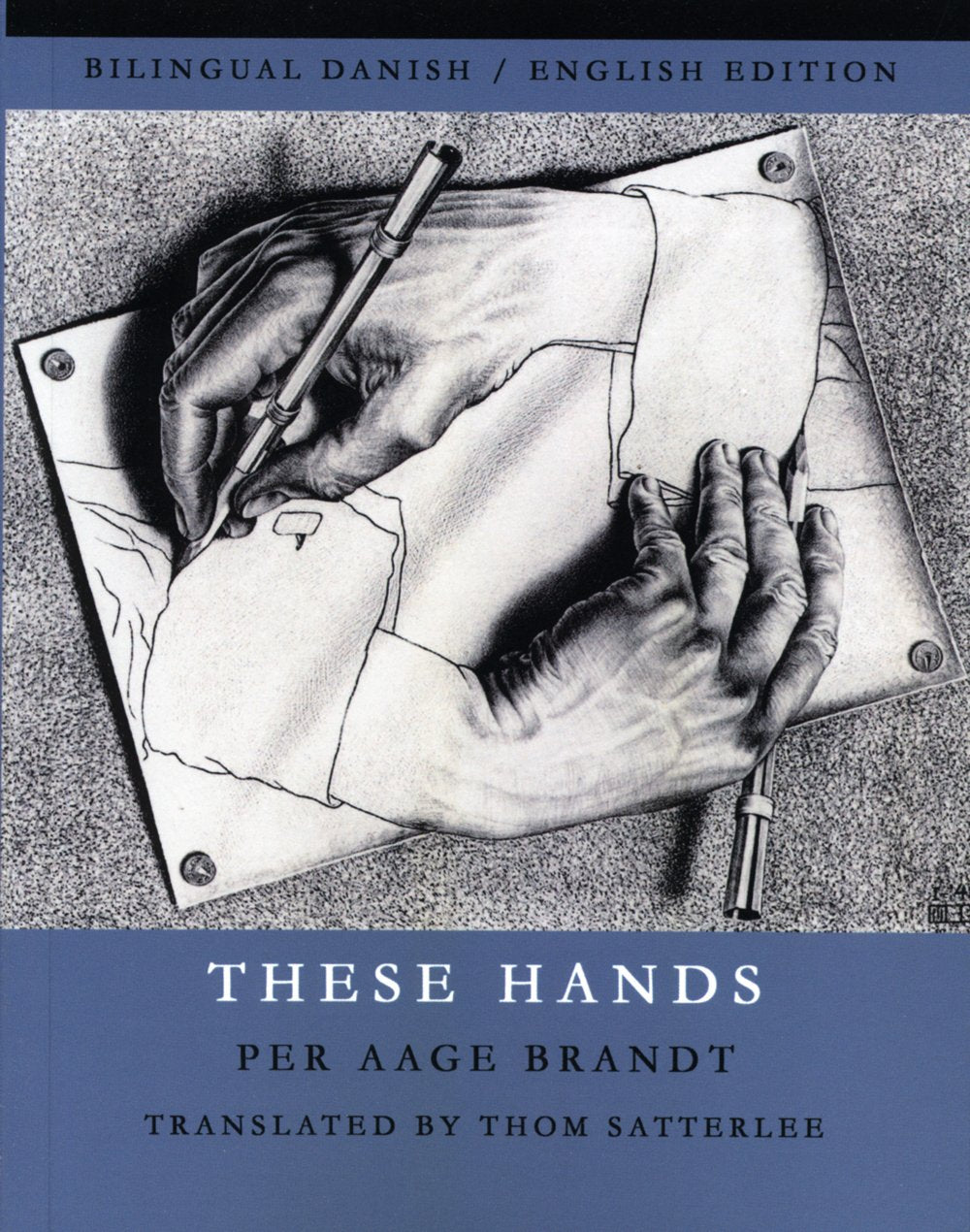 These Hands book cover
