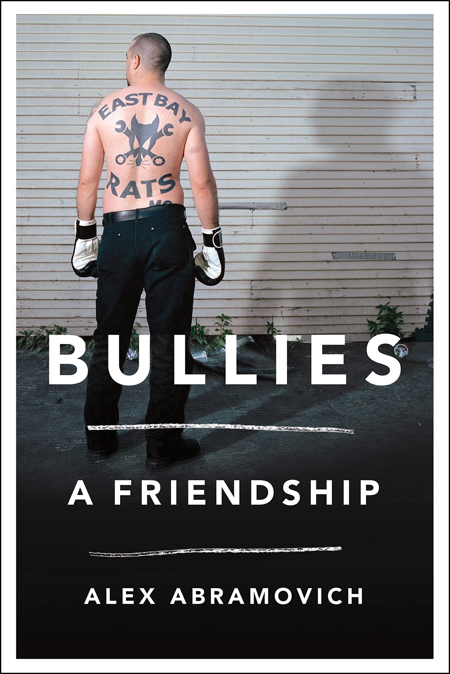 Bullies: A Friendship book cover