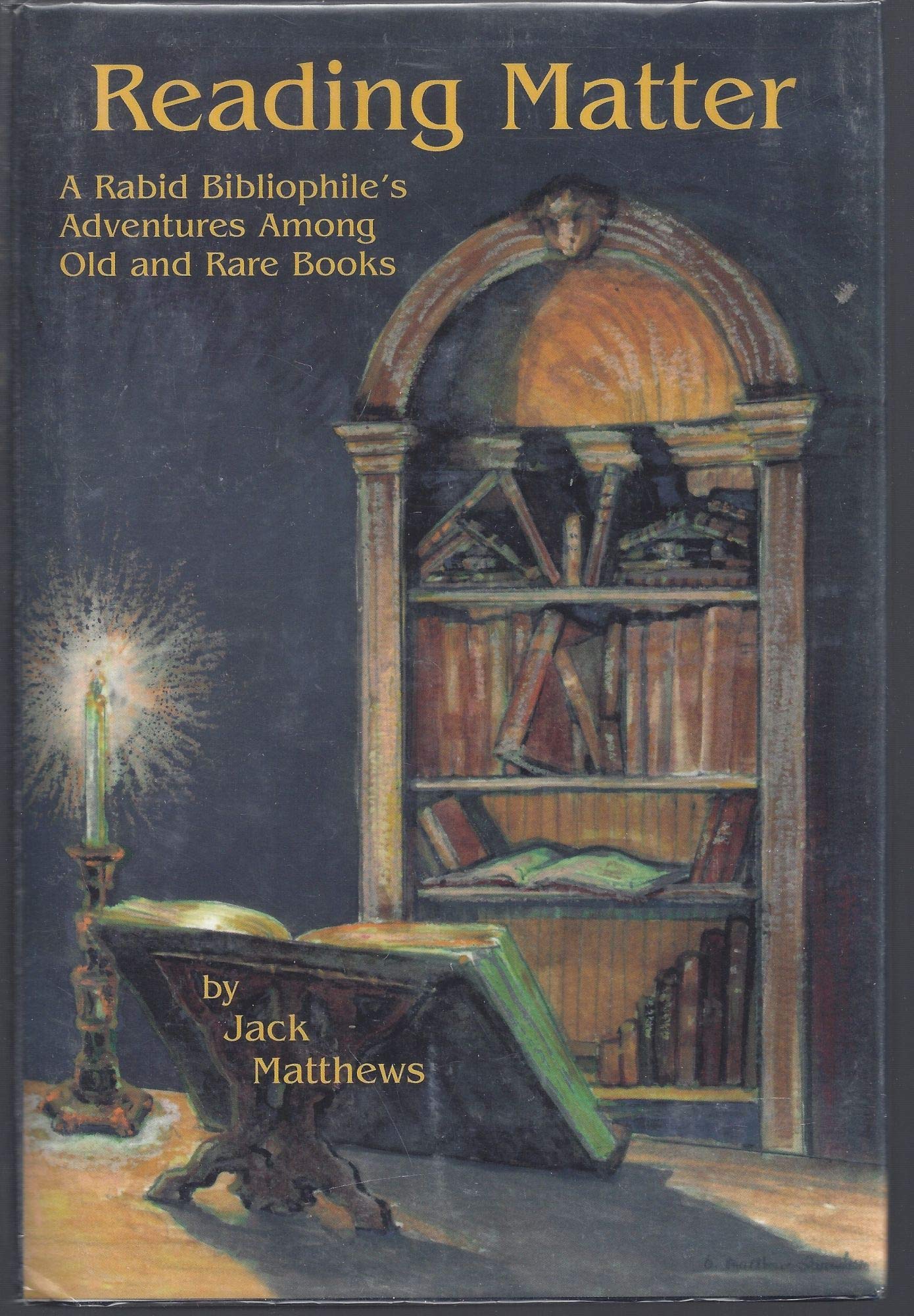 Reading Matter: A Rabid Bibliophile's Adventure Among Old and Rare Books book cover