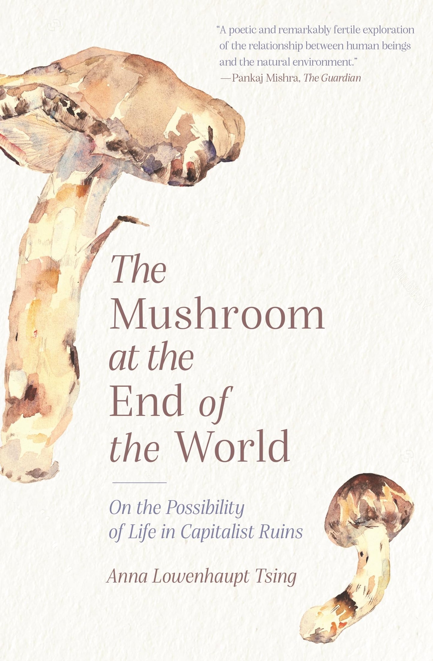 Mushroom at the End of the World: On the Possibility of Life in Capitalist Ruins book cover