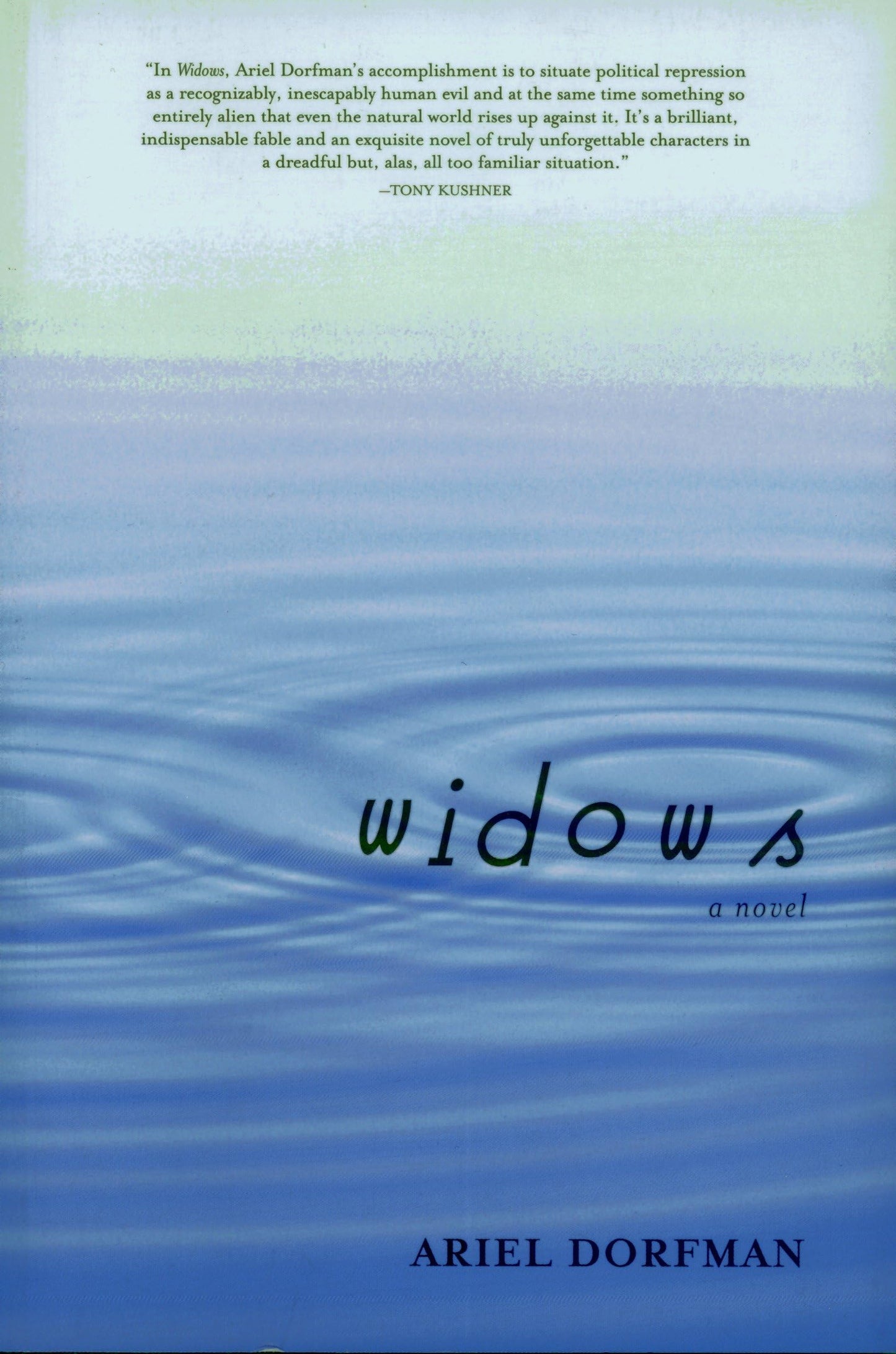 Widows book cover