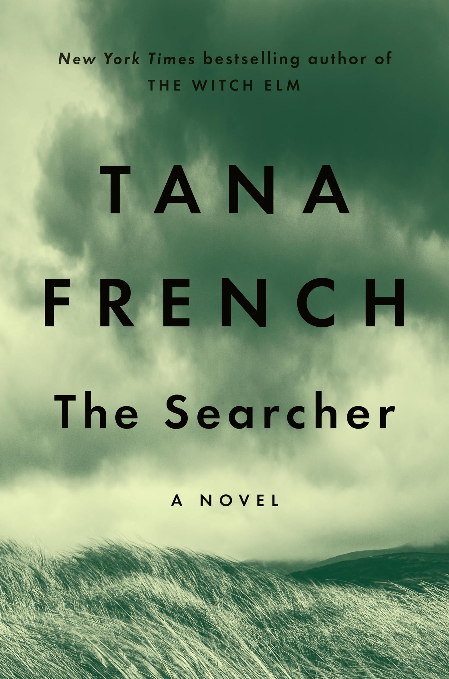 Searcher book cover