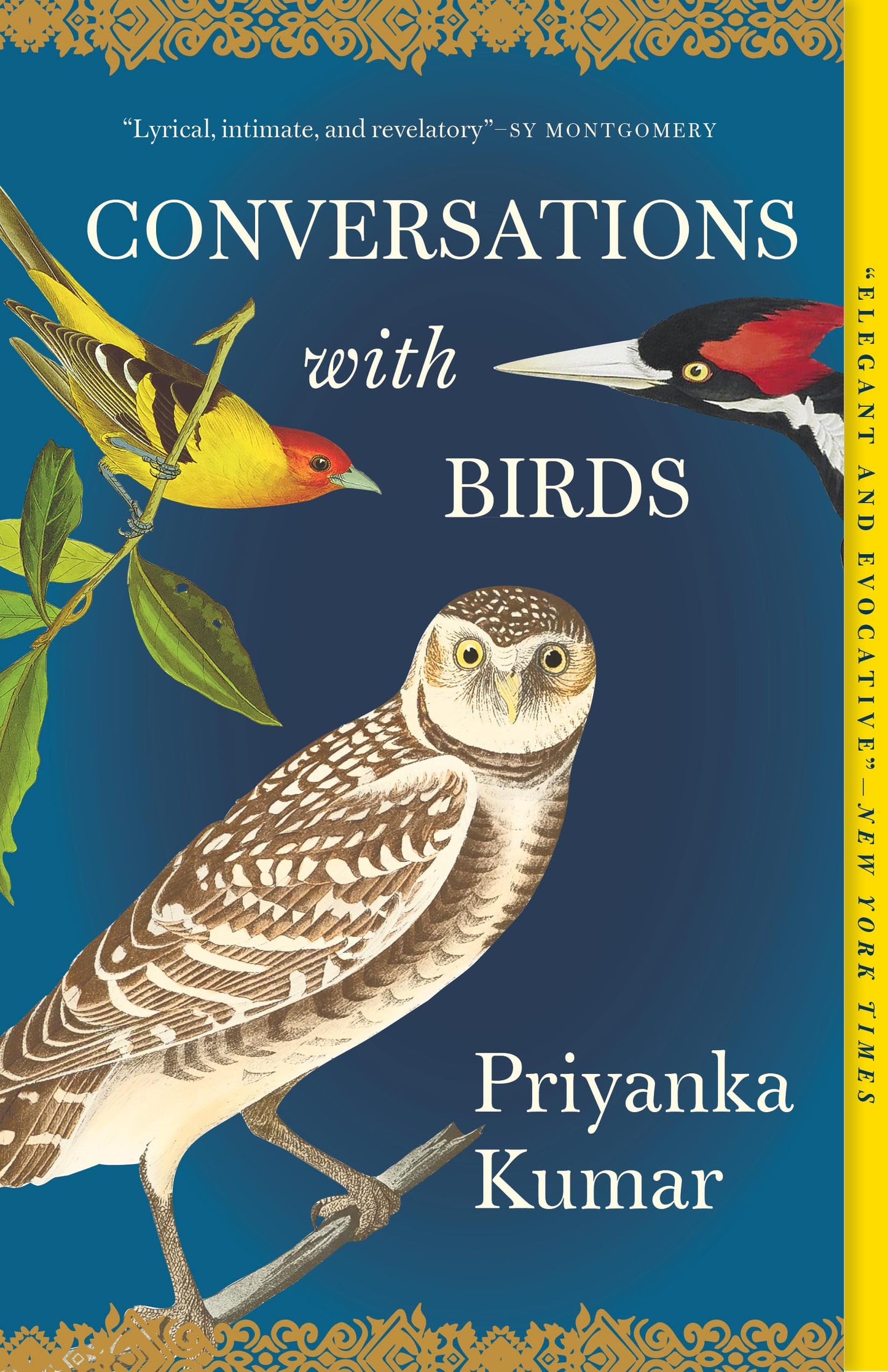 Conversations with Birds book cover