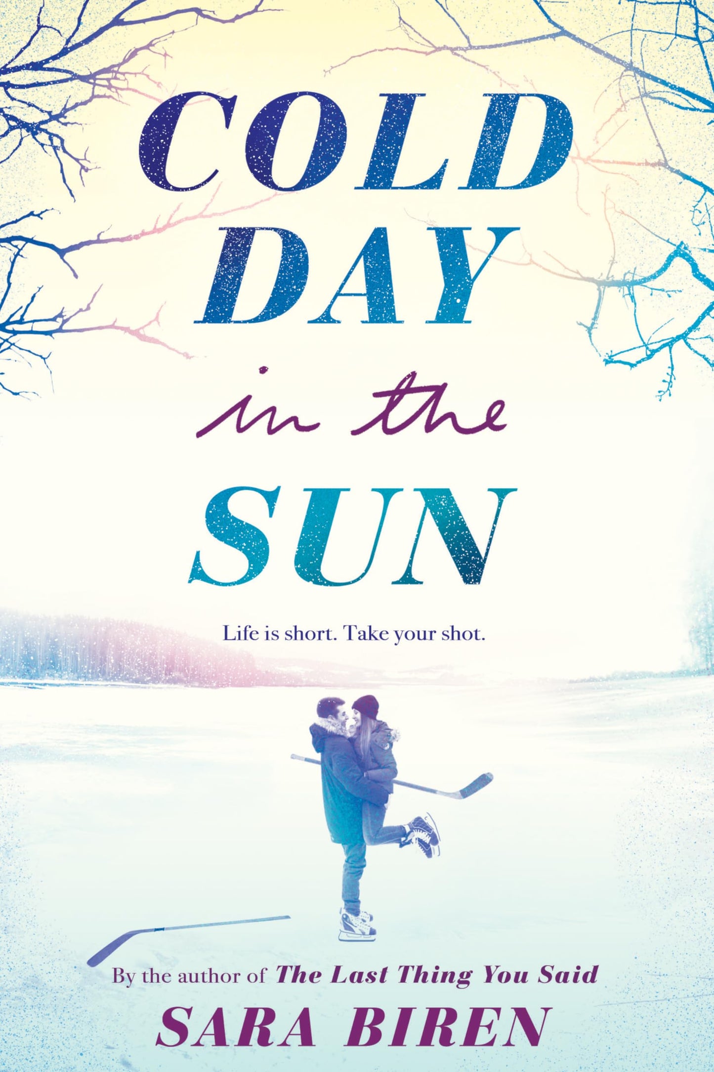 Cold Day in the Sun book cover