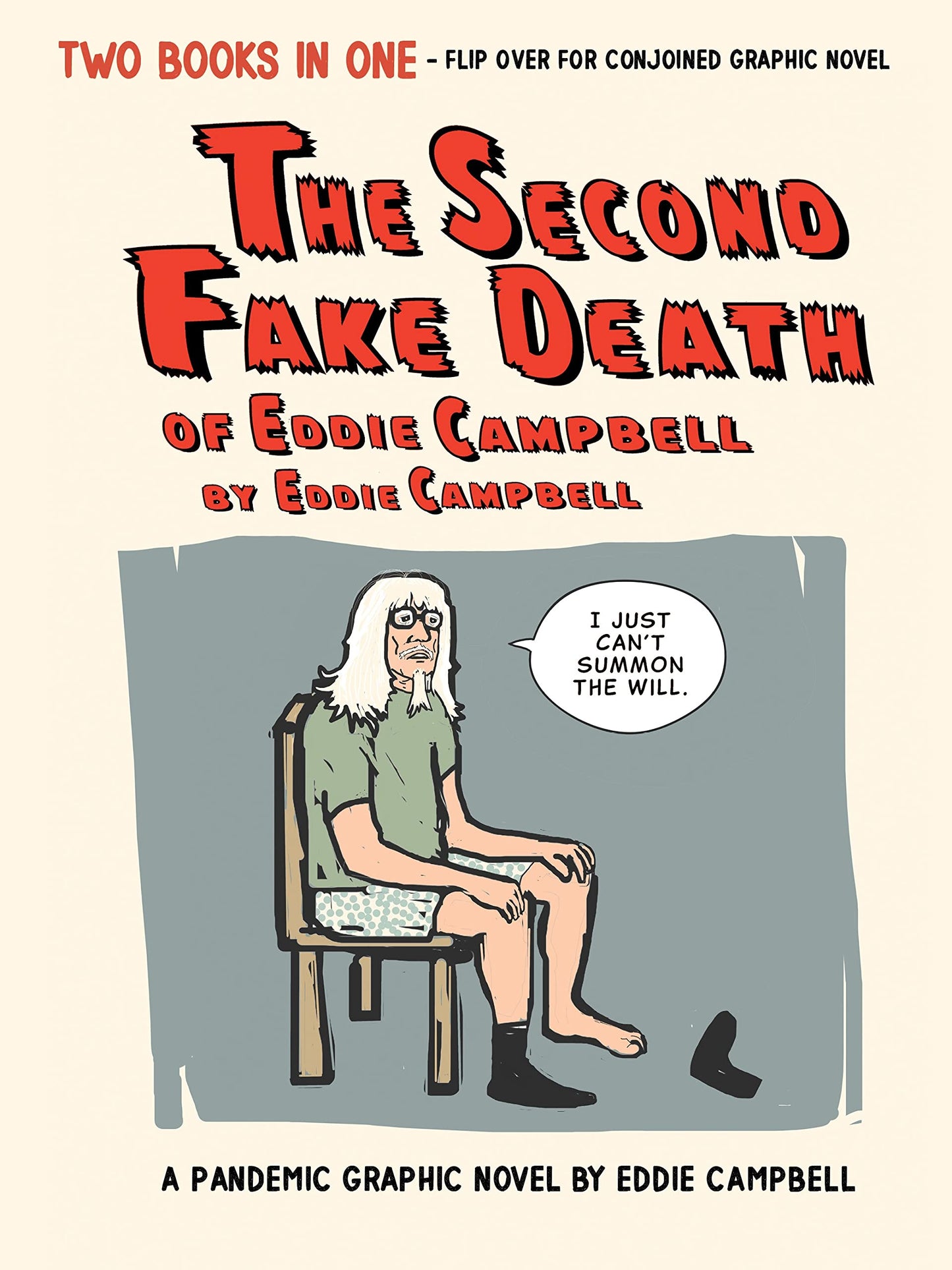 Second Fake Death of Eddie Campbell & the Fate of the Artist book cover