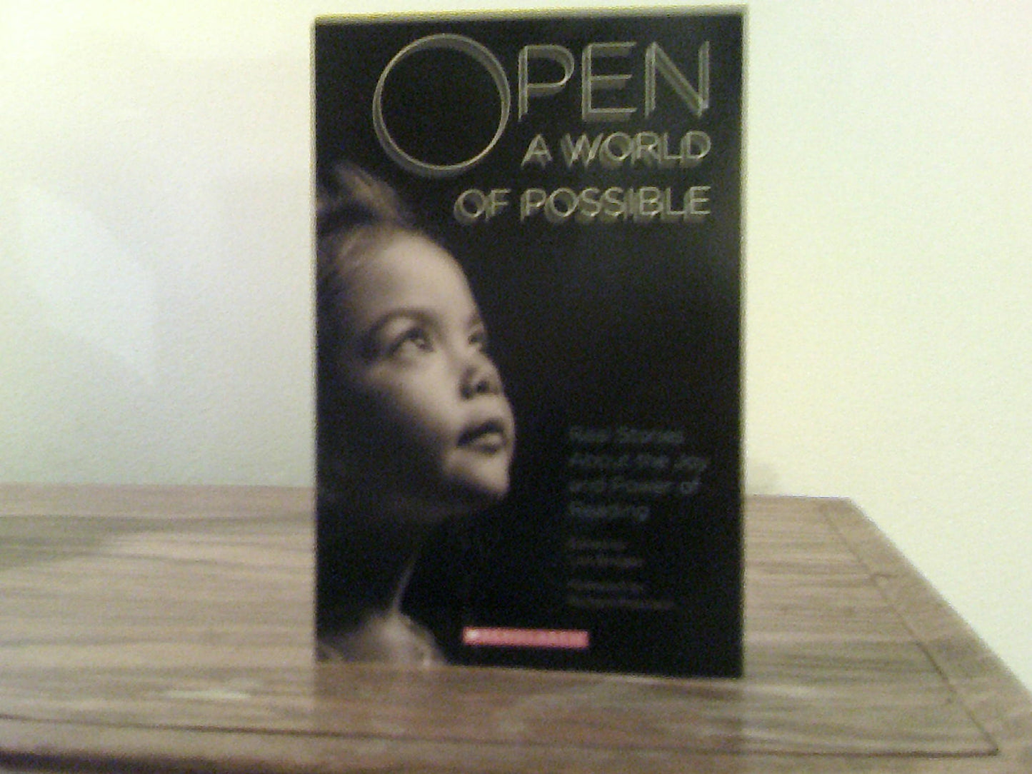 Open a World of Possible book cover