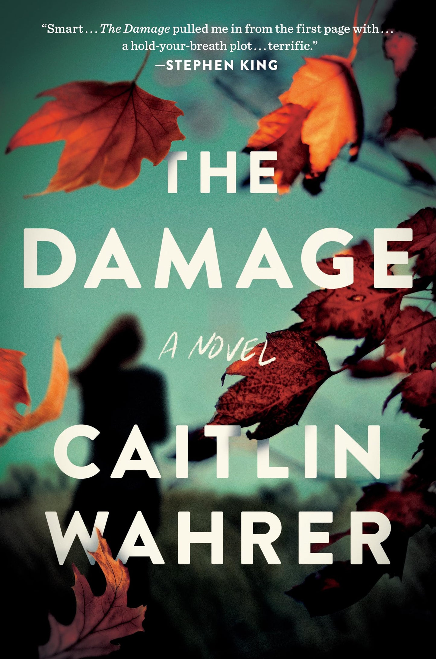 Damage book cover
