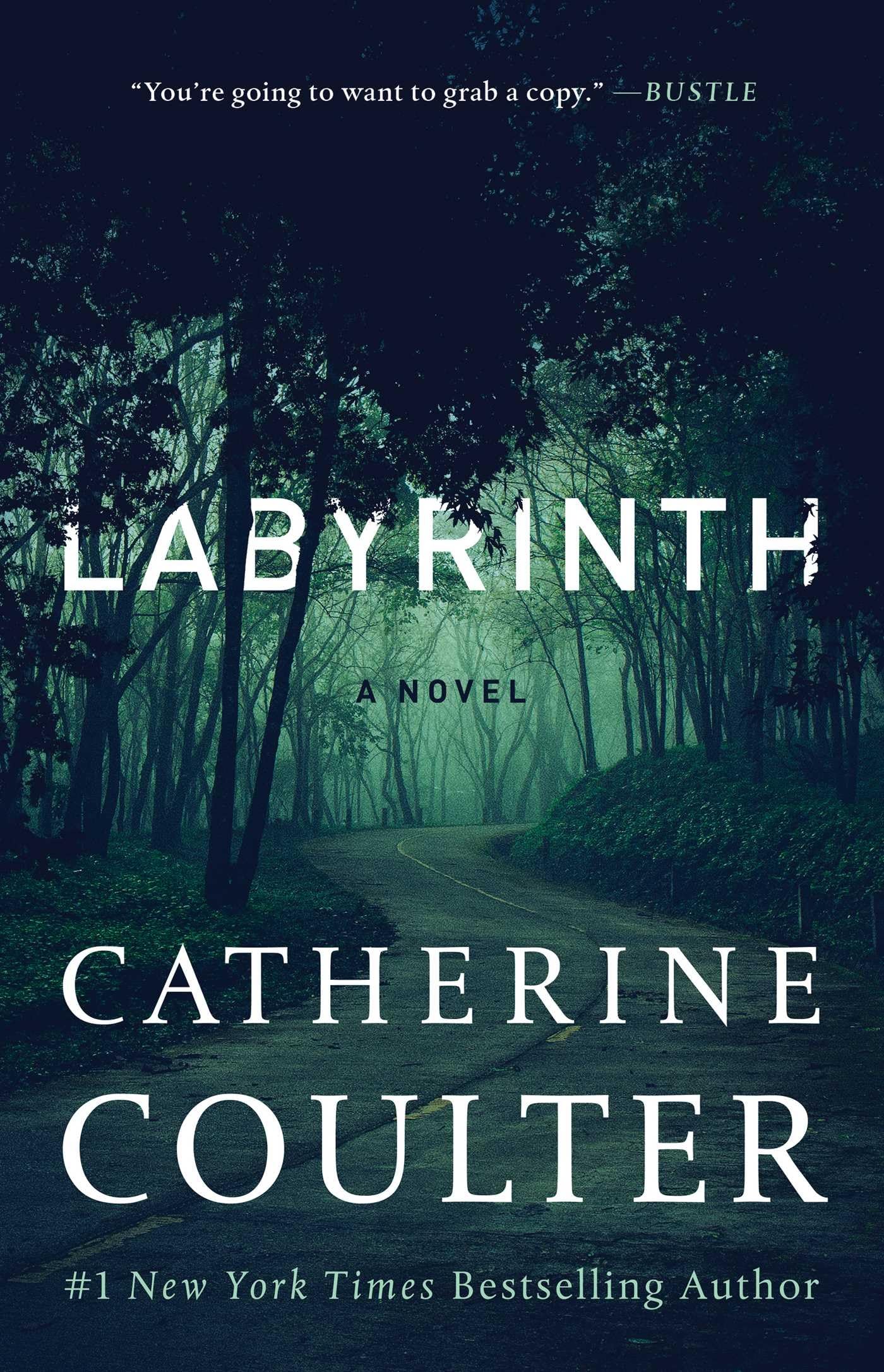 Labyrinth book cover